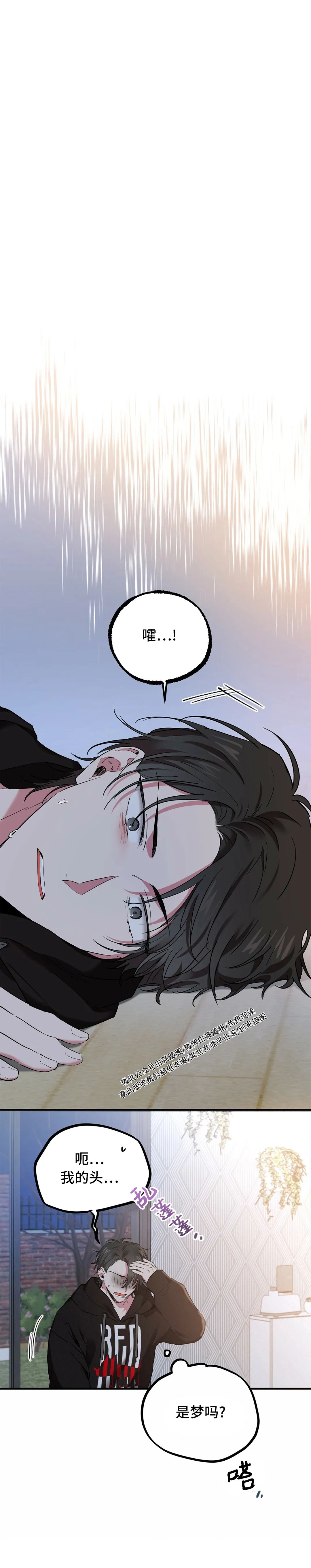 《哈比比的兔子们》漫画最新章节第06话免费下拉式在线观看章节第【10】张图片