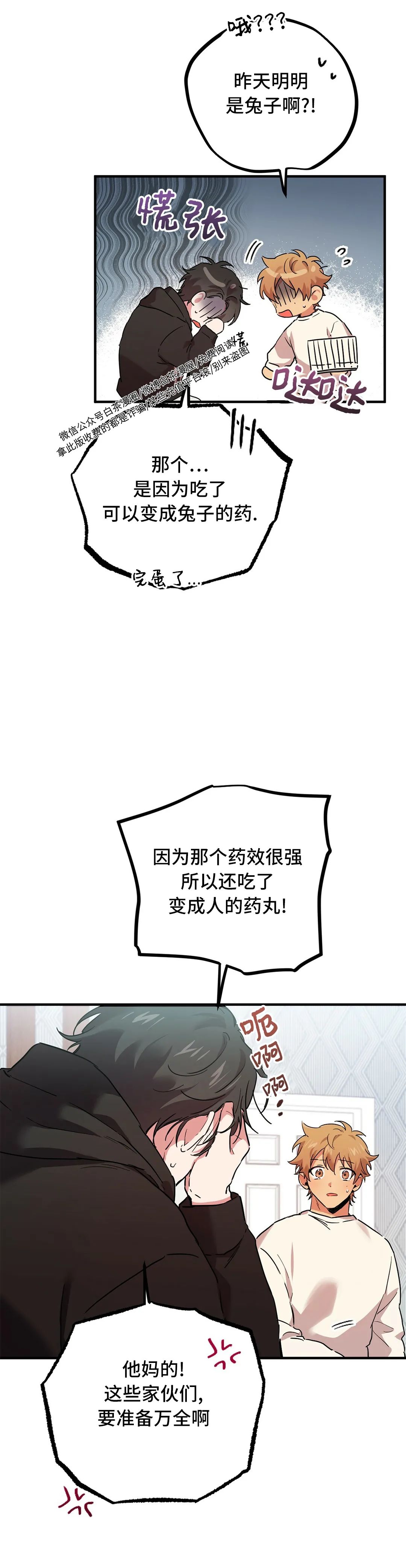 《哈比比的兔子们》漫画最新章节第06话免费下拉式在线观看章节第【38】张图片