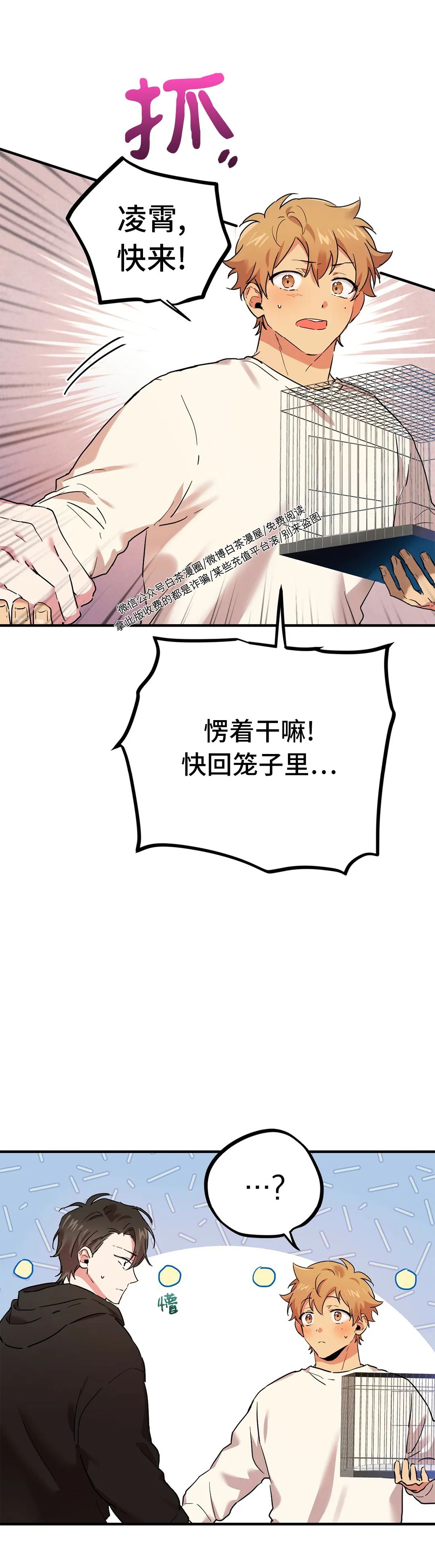 《哈比比的兔子们》漫画最新章节第06话免费下拉式在线观看章节第【34】张图片