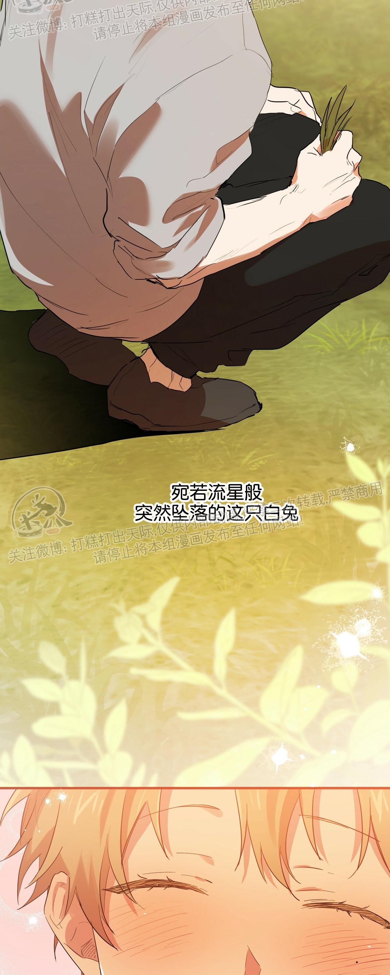 《哈比比的兔子们》漫画最新章节第11话免费下拉式在线观看章节第【13】张图片