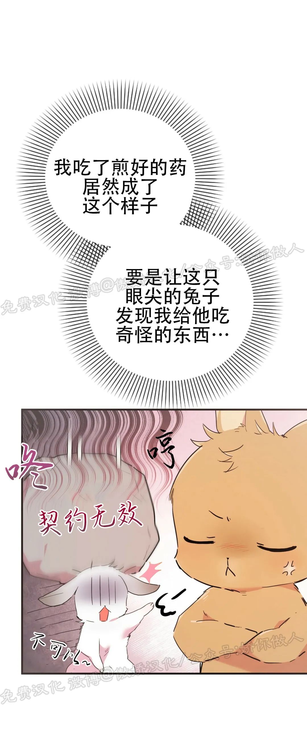 《哈比比的兔子们》漫画最新章节第13话免费下拉式在线观看章节第【29】张图片