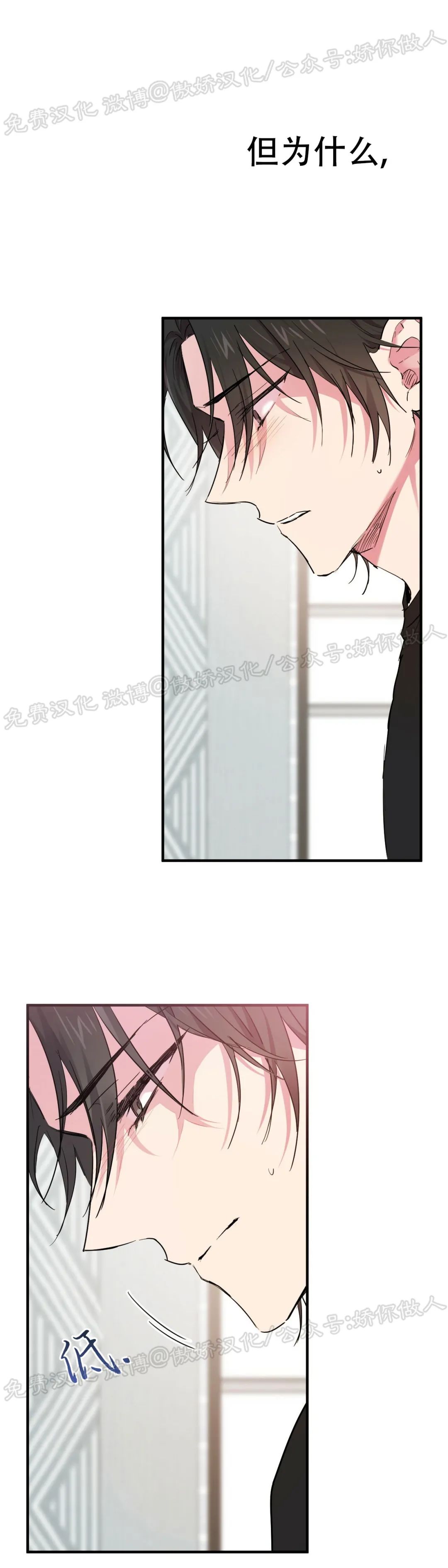 《哈比比的兔子们》漫画最新章节第13话免费下拉式在线观看章节第【42】张图片