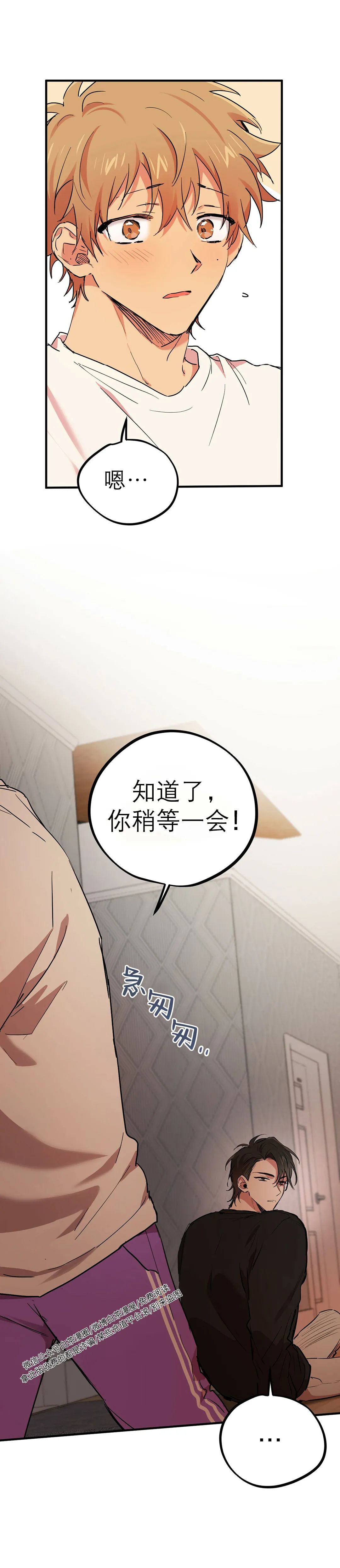 《哈比比的兔子们》漫画最新章节第14话免费下拉式在线观看章节第【13】张图片