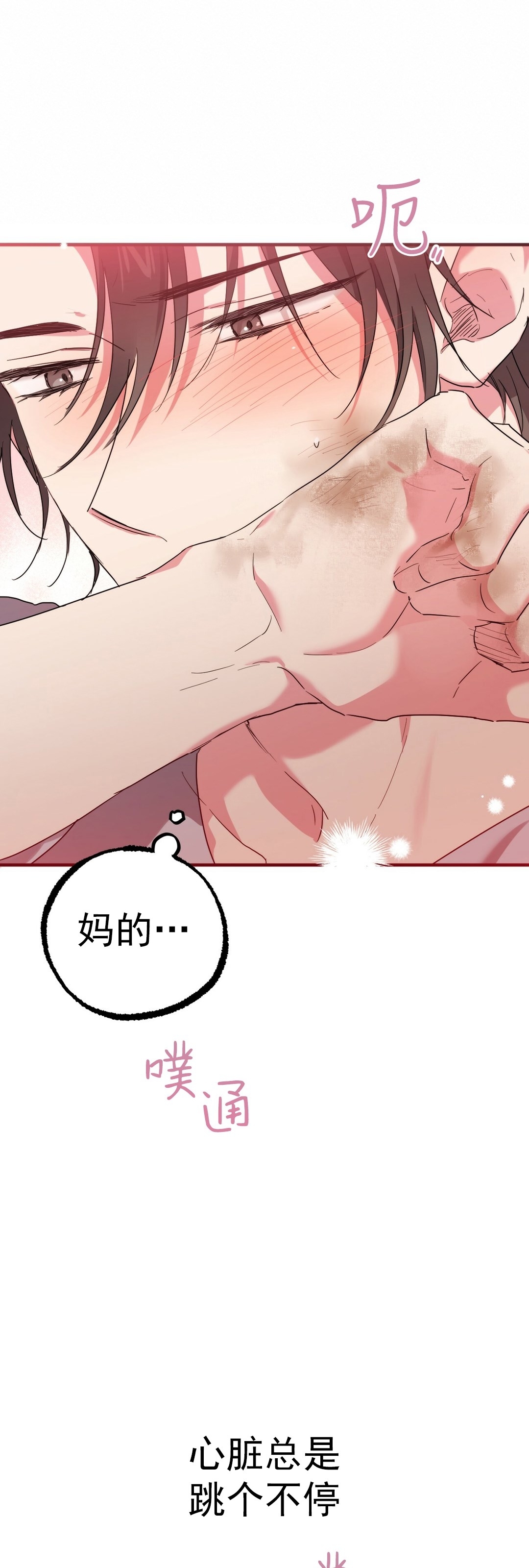 《哈比比的兔子们》漫画最新章节第16话免费下拉式在线观看章节第【19】张图片