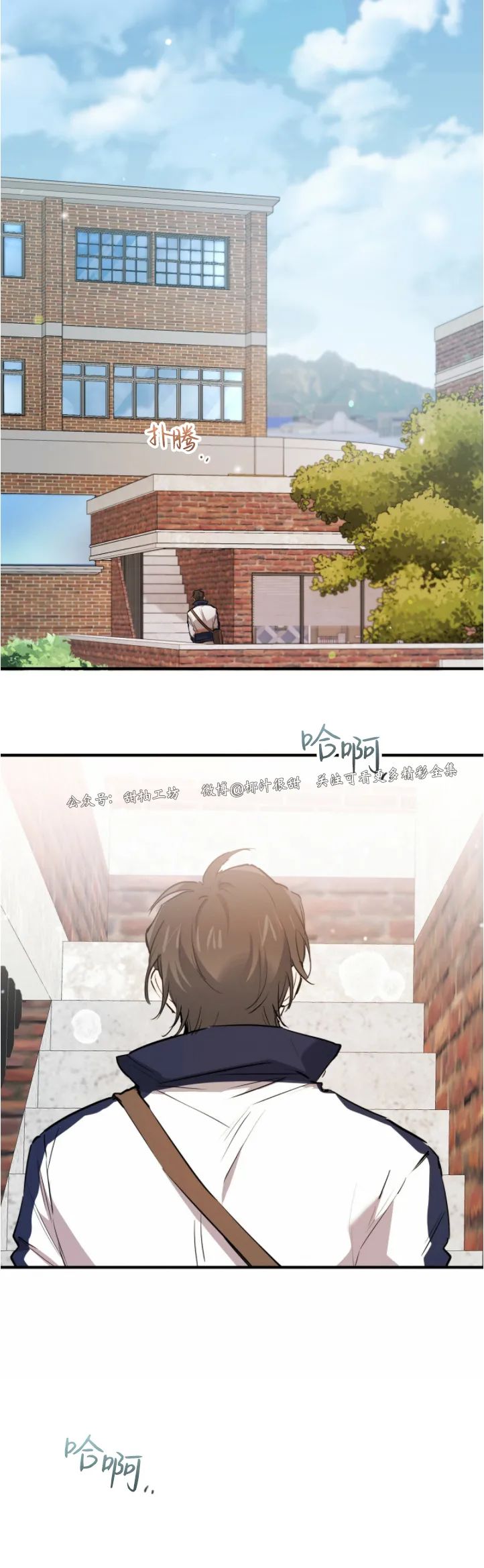 《哈比比的兔子们》漫画最新章节第19话免费下拉式在线观看章节第【23】张图片