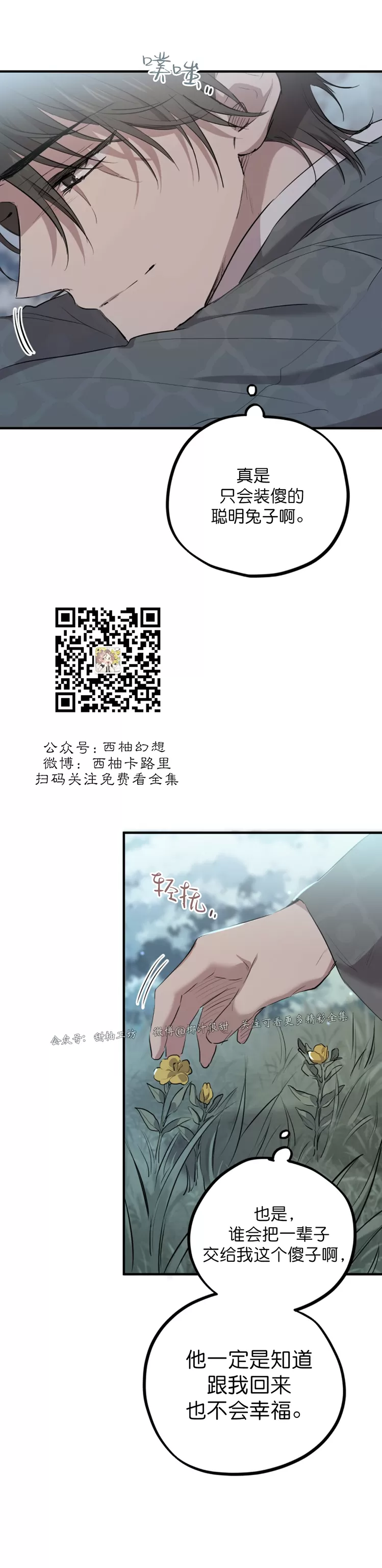 《哈比比的兔子们》漫画最新章节第22话免费下拉式在线观看章节第【34】张图片