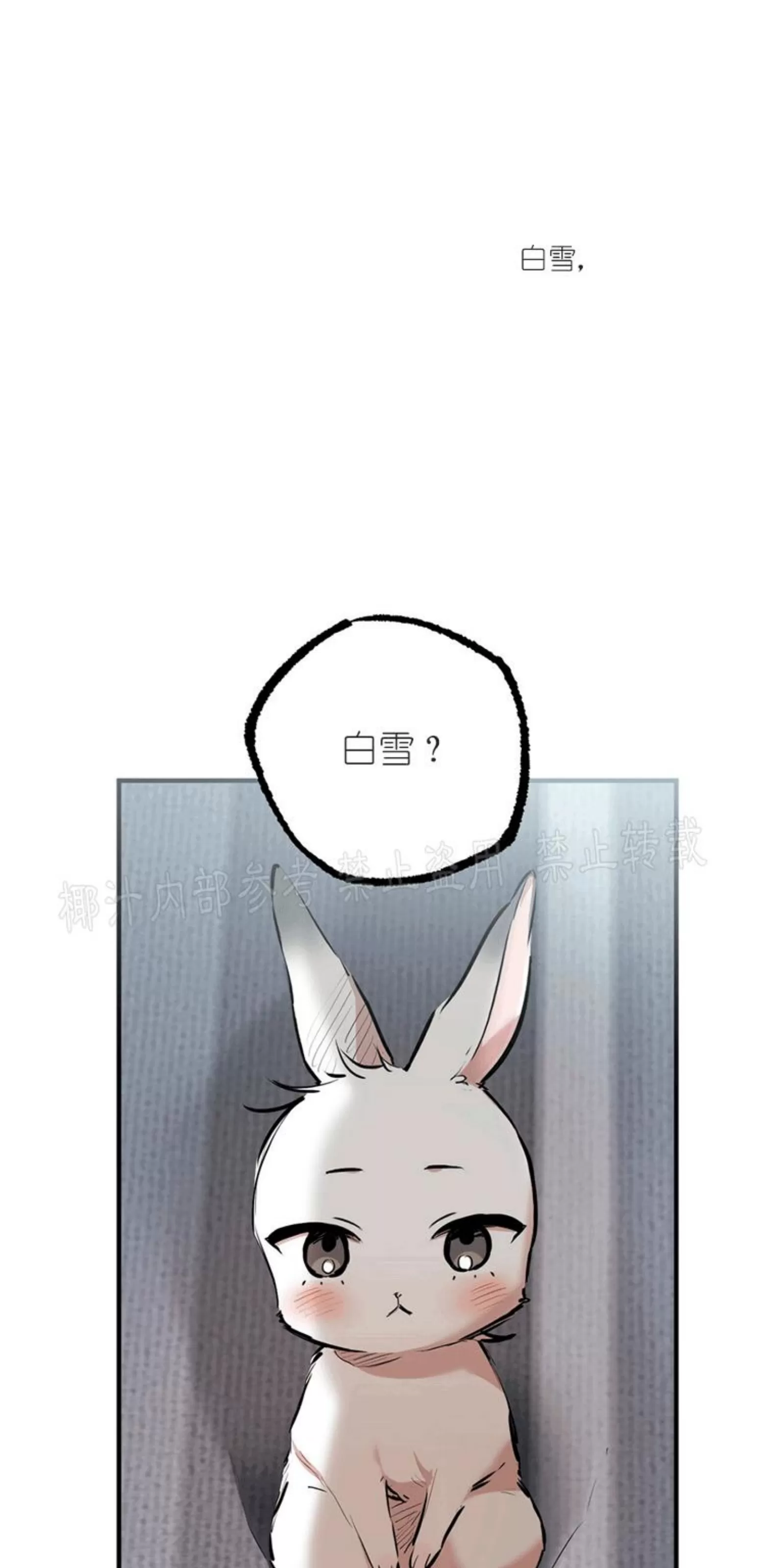《哈比比的兔子们》漫画最新章节第28话免费下拉式在线观看章节第【9】张图片