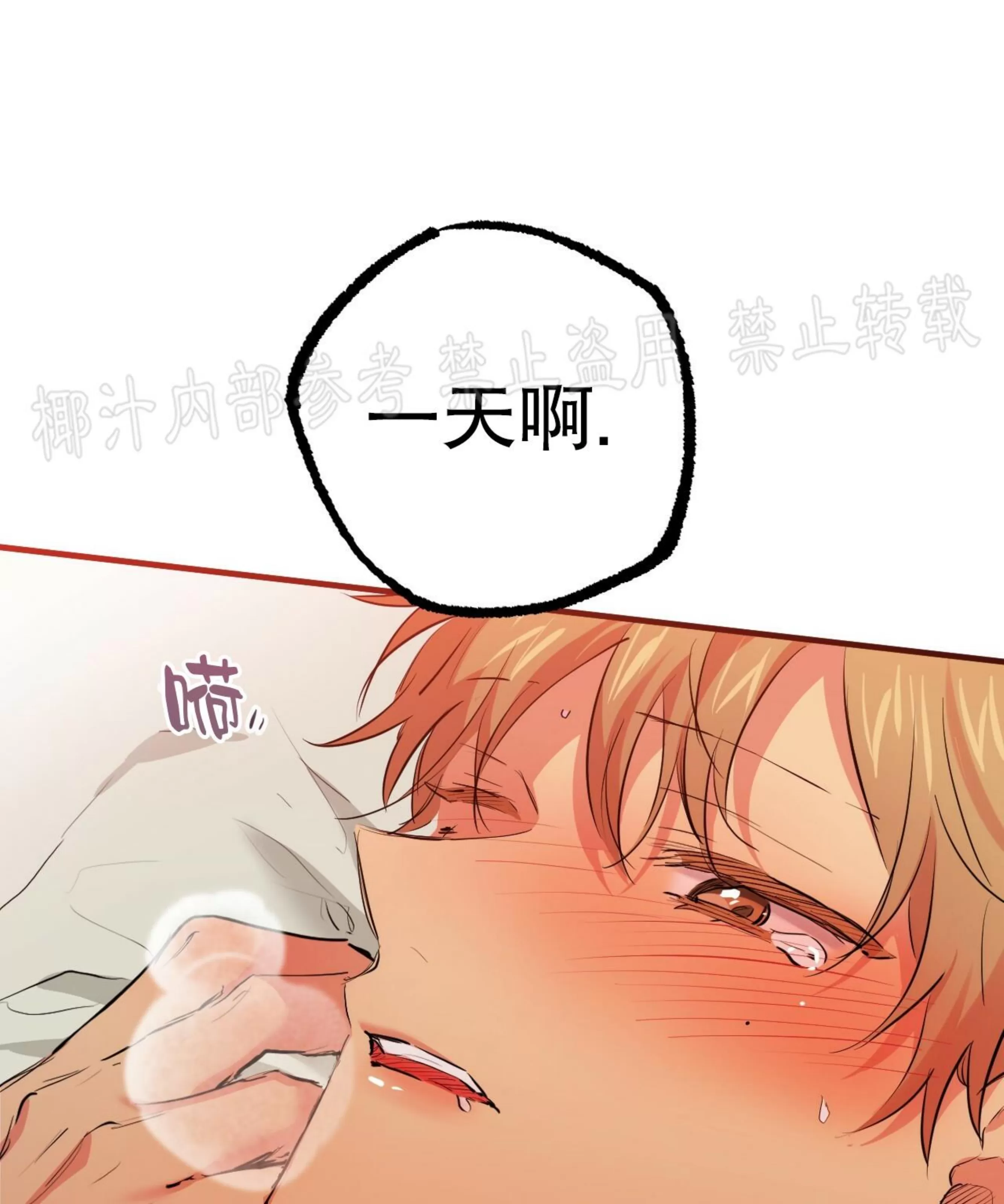 《哈比比的兔子们》漫画最新章节第29话免费下拉式在线观看章节第【78】张图片