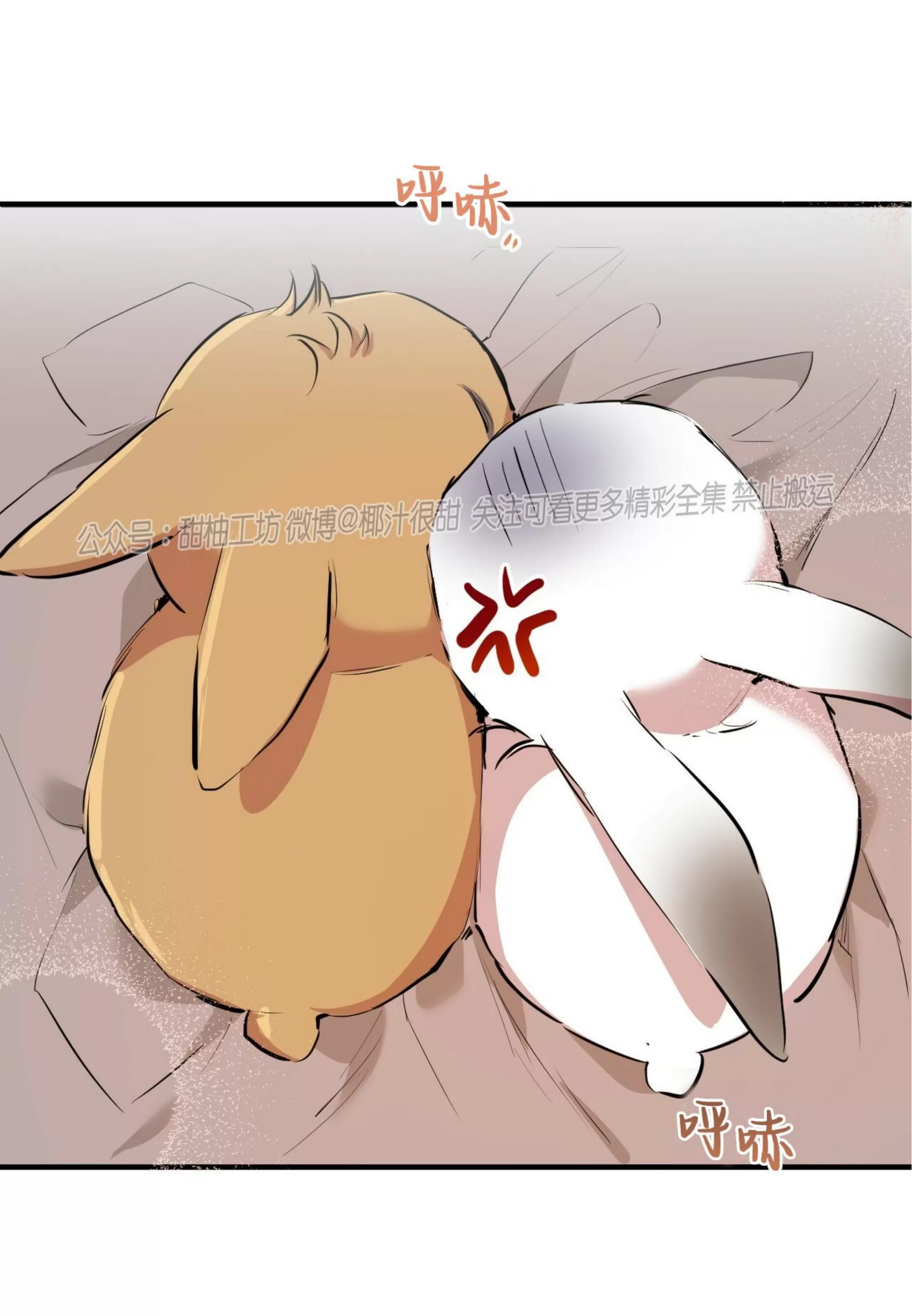 【哈比比的兔子们[耽美]】漫画-（第30话）章节漫画下拉式图片-57.jpg