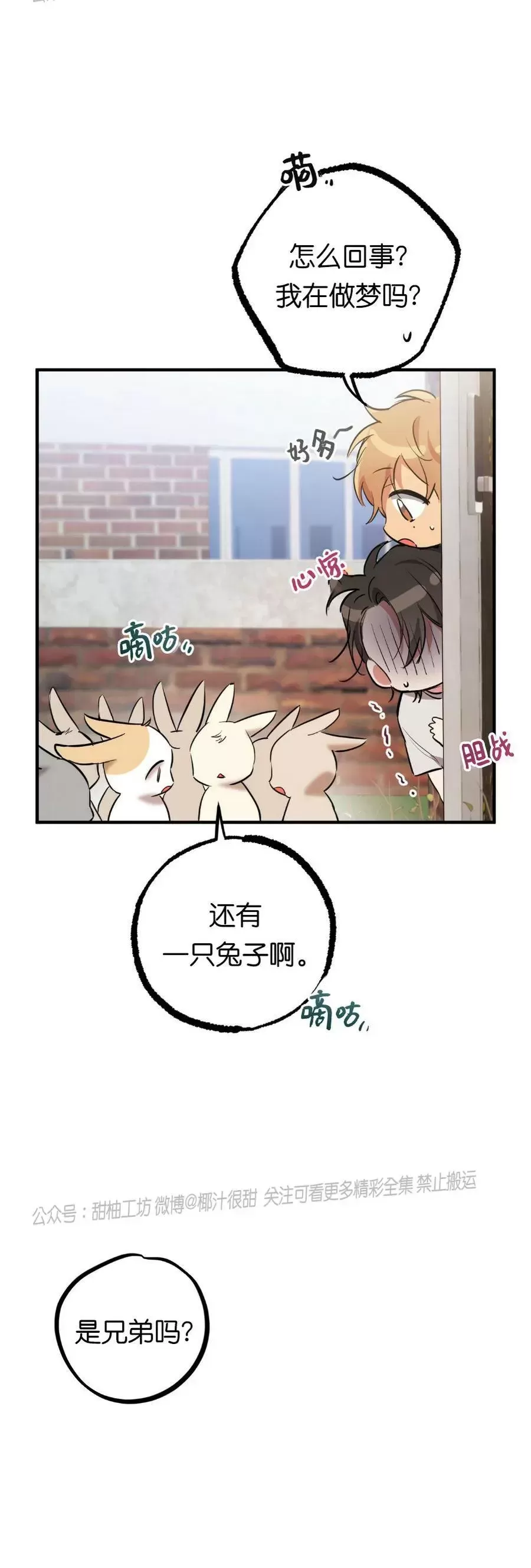 《哈比比的兔子们》漫画最新章节第39话免费下拉式在线观看章节第【29】张图片