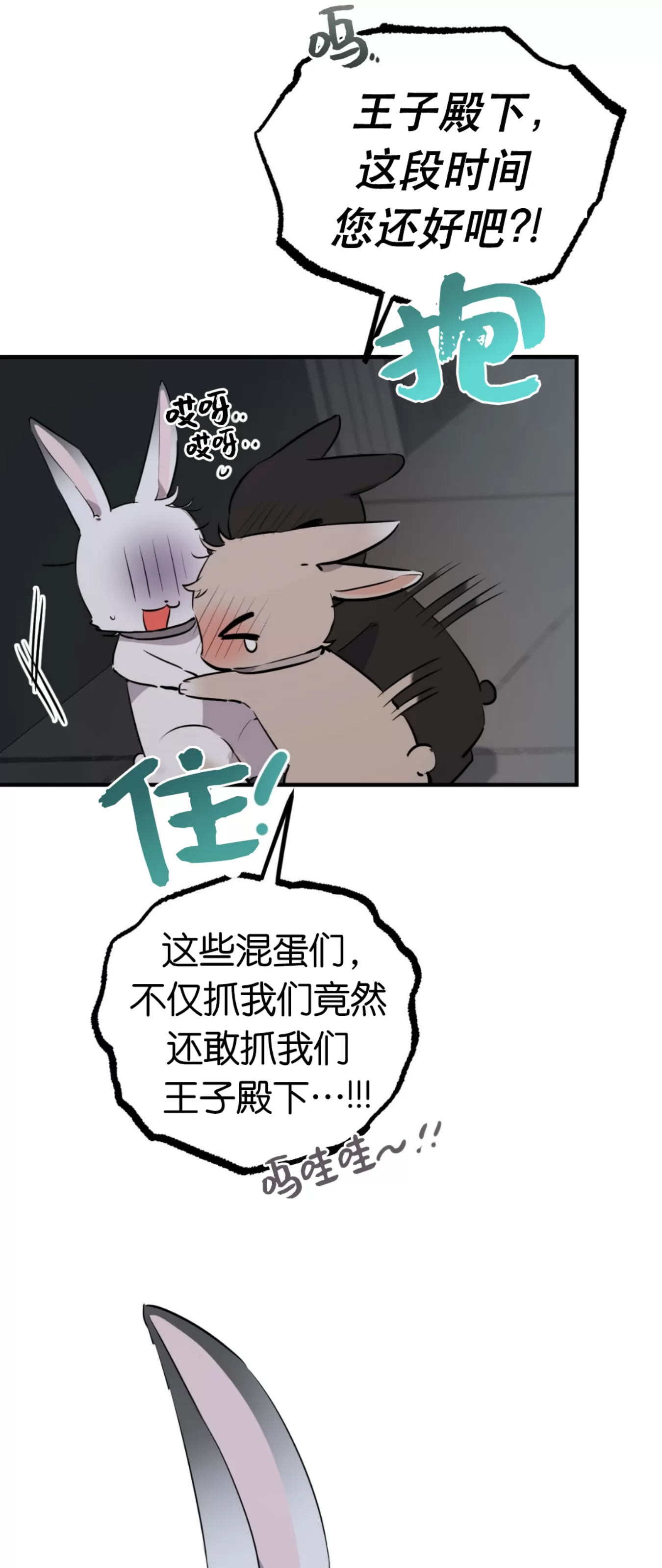 【哈比比的兔子们[耽美]】漫画-（第46话）章节漫画下拉式图片-11.jpg