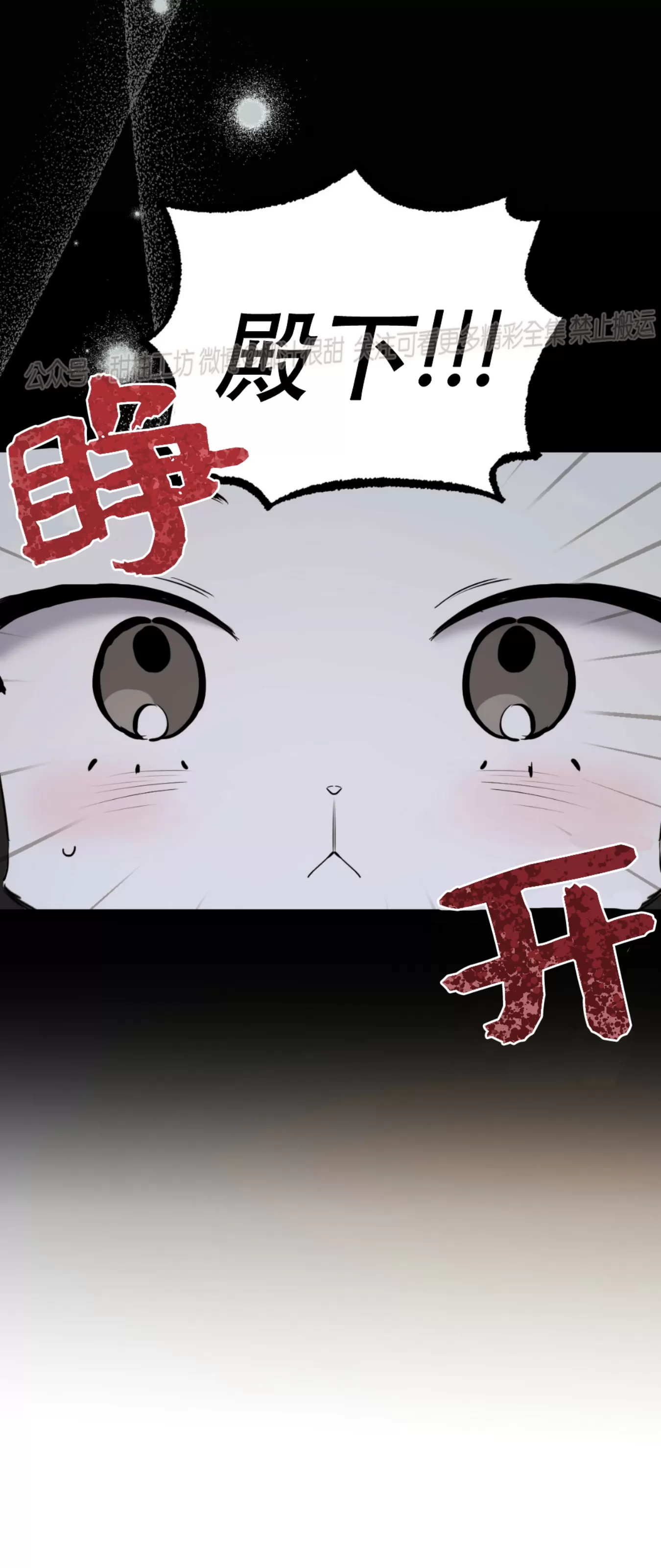 《哈比比的兔子们》漫画最新章节第46话免费下拉式在线观看章节第【3】张图片