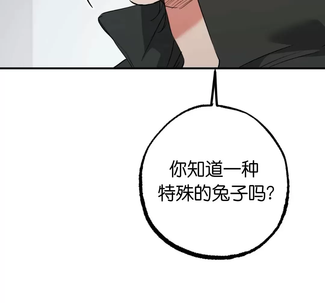 【哈比比的兔子们[耽美]】漫画-（第47话）章节漫画下拉式图片-28.jpg