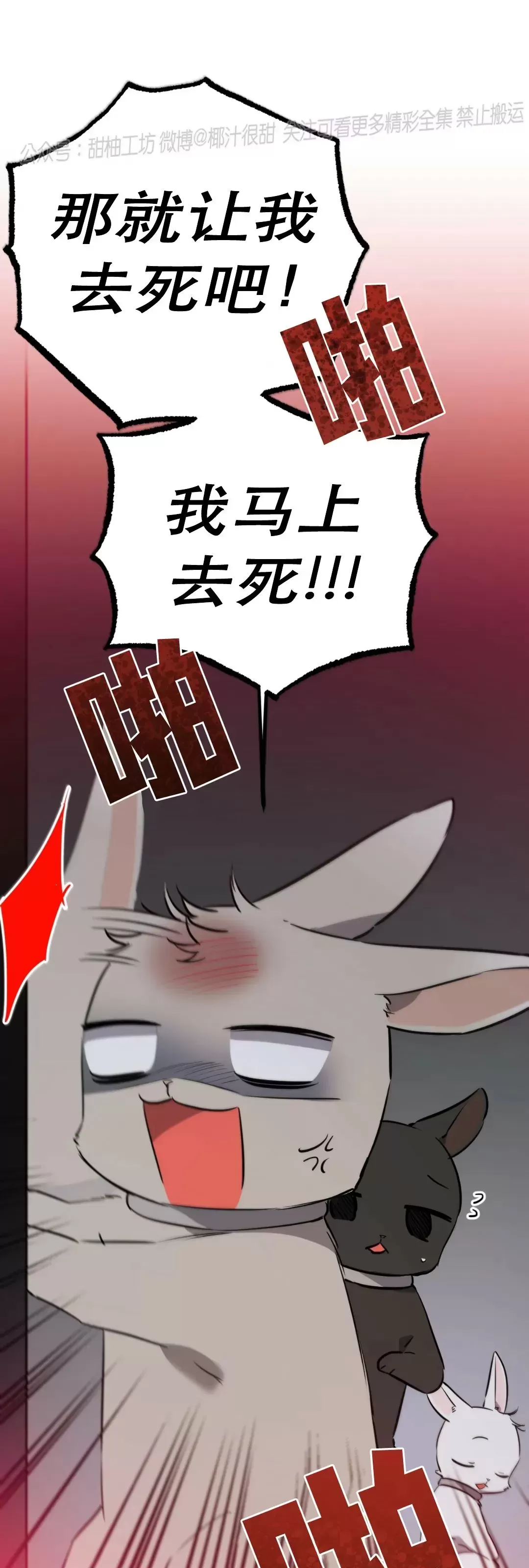 《哈比比的兔子们》漫画最新章节第47话免费下拉式在线观看章节第【11】张图片