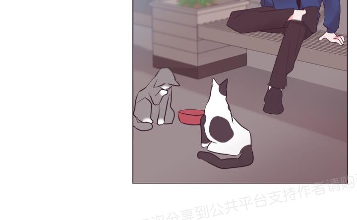 《见习爱神/爱的SOS》漫画最新章节第15话免费下拉式在线观看章节第【15】张图片