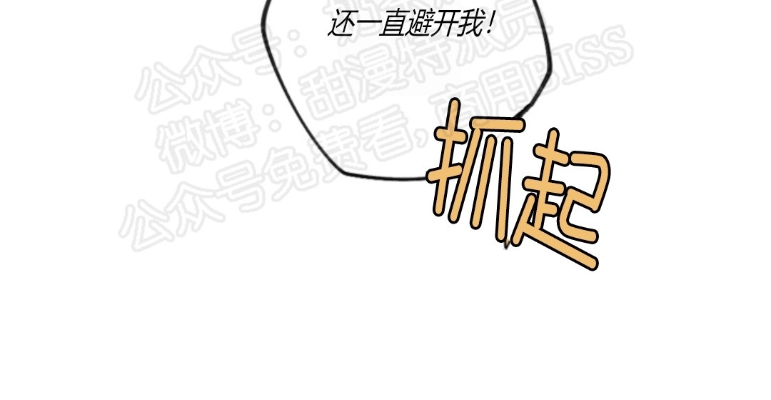 《秘密拍摄/热情的家伙》漫画最新章节第03话免费下拉式在线观看章节第【60】张图片