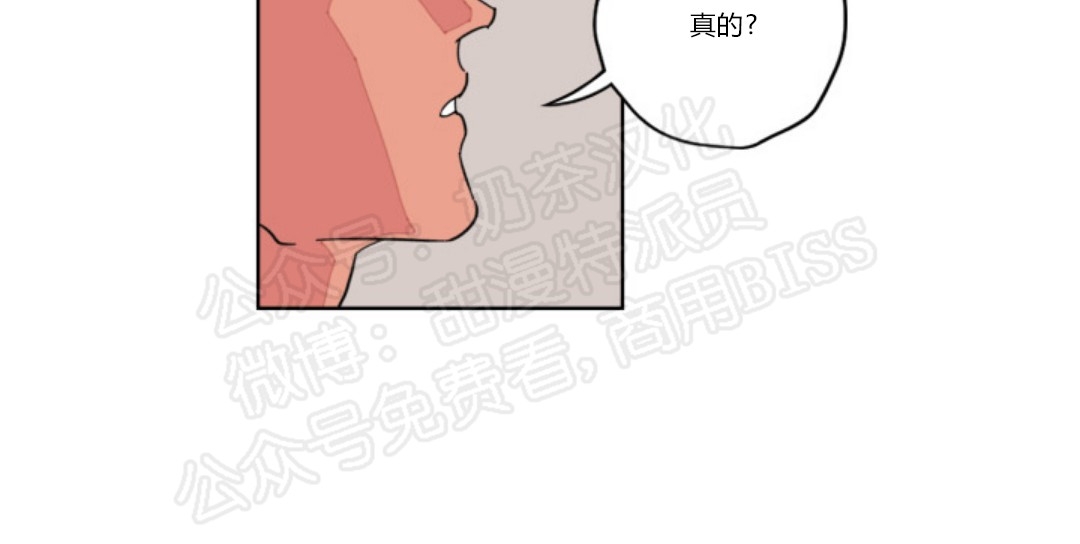 《秘密拍摄/热情的家伙》漫画最新章节第14话免费下拉式在线观看章节第【13】张图片