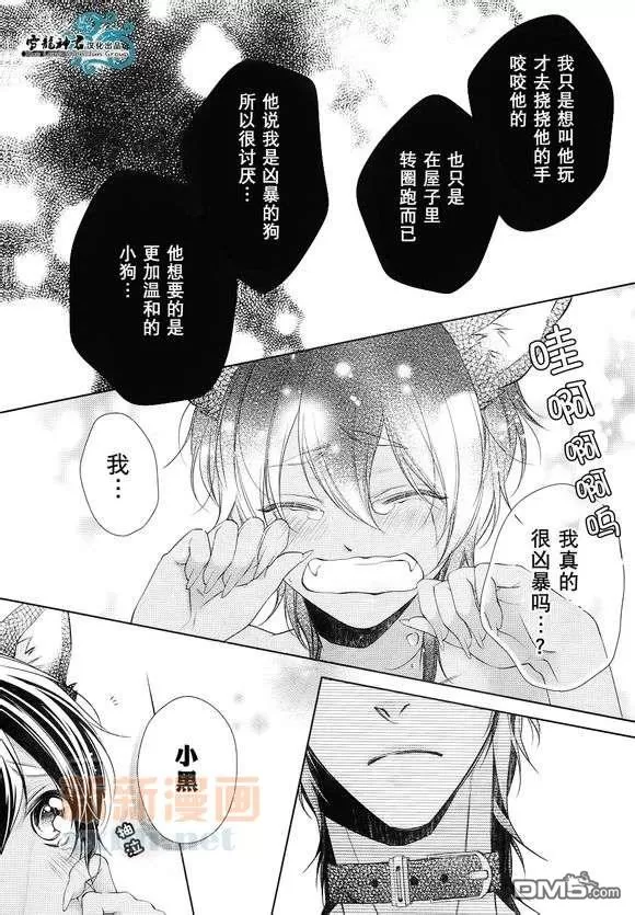 《完美KISS》漫画最新章节 第1话 免费下拉式在线观看章节第【4】张图片