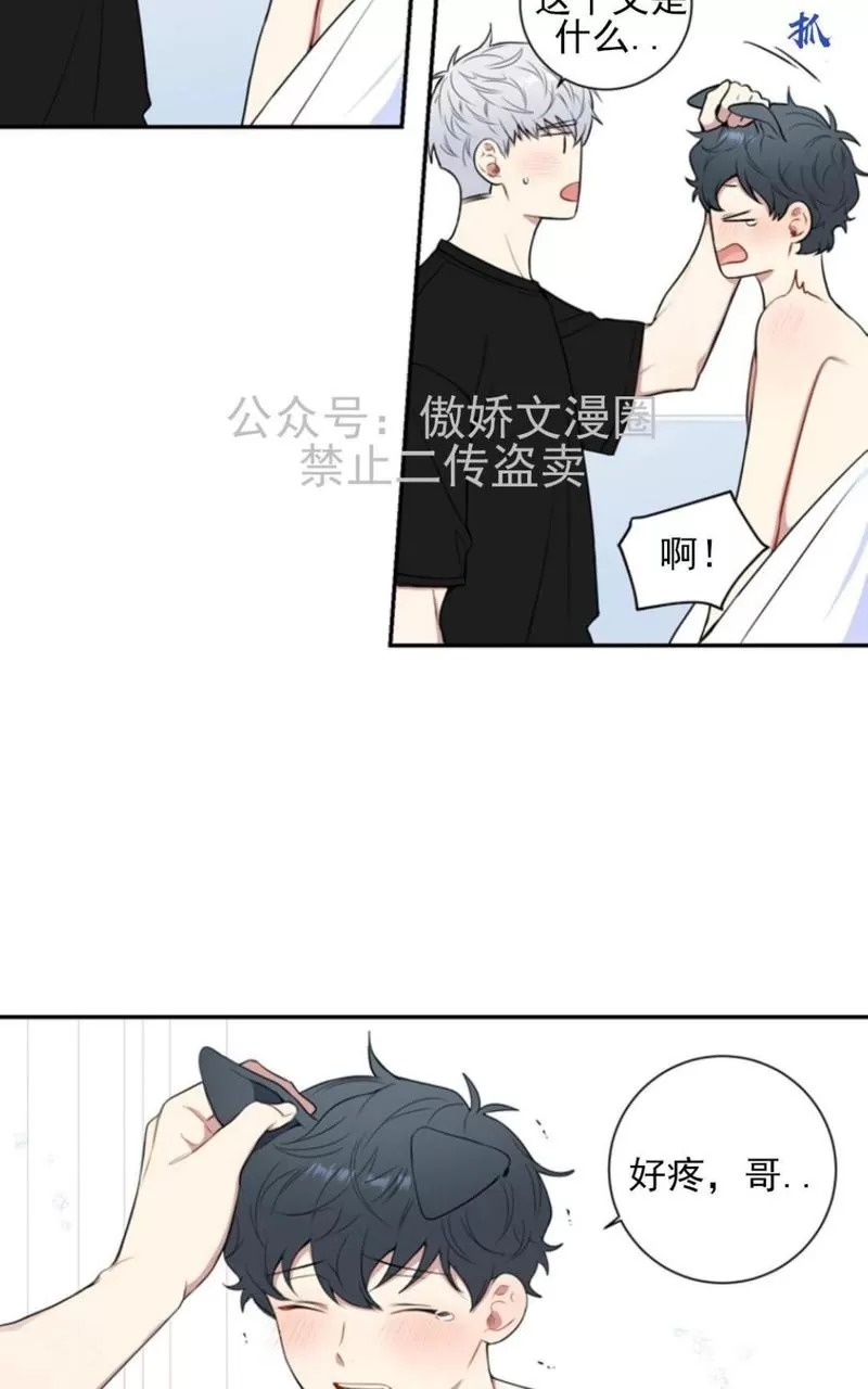 《冬日后的樱花 第三季》漫画最新章节 外传二 免费下拉式在线观看章节第【7】张图片