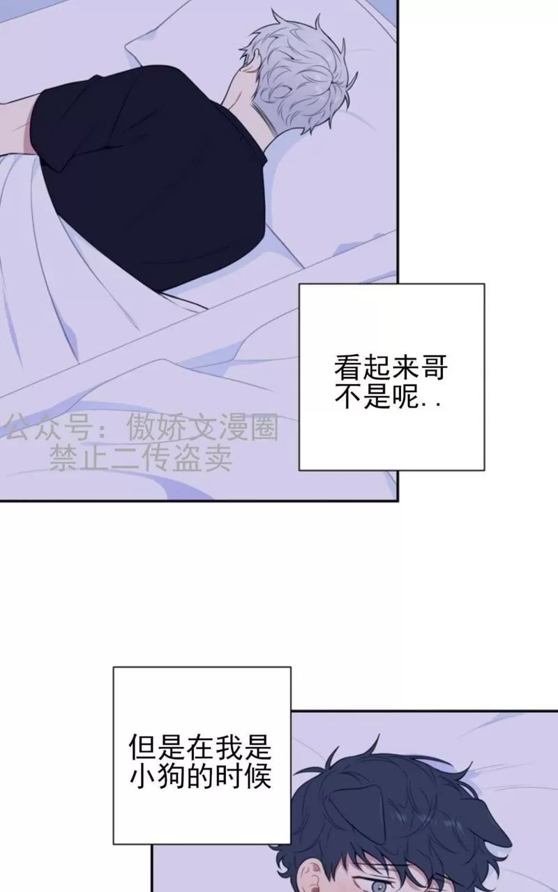 《冬日后的樱花 第三季》漫画最新章节 外传二 免费下拉式在线观看章节第【71】张图片