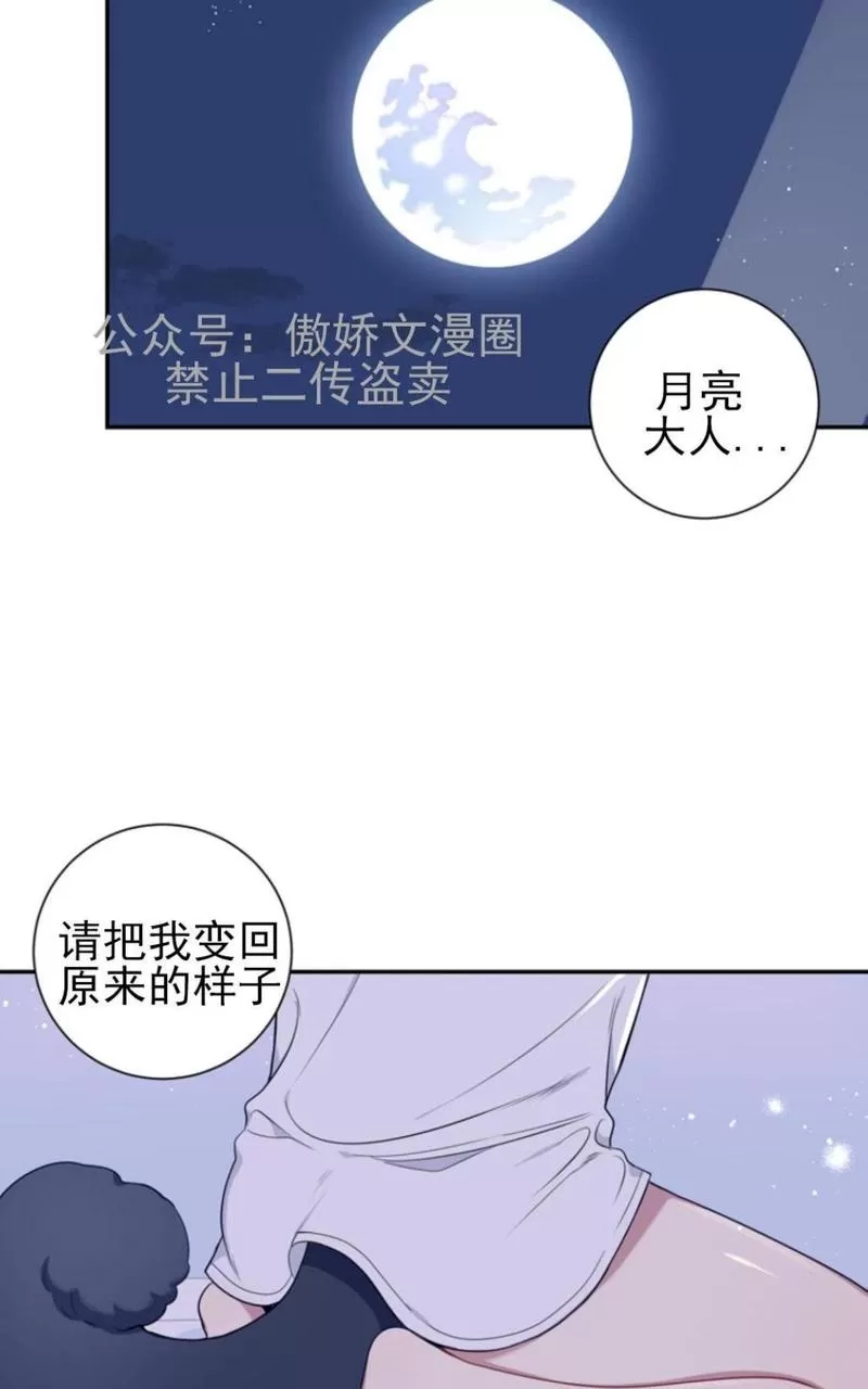 《冬日后的樱花 第三季》漫画最新章节 外传二 免费下拉式在线观看章节第【74】张图片