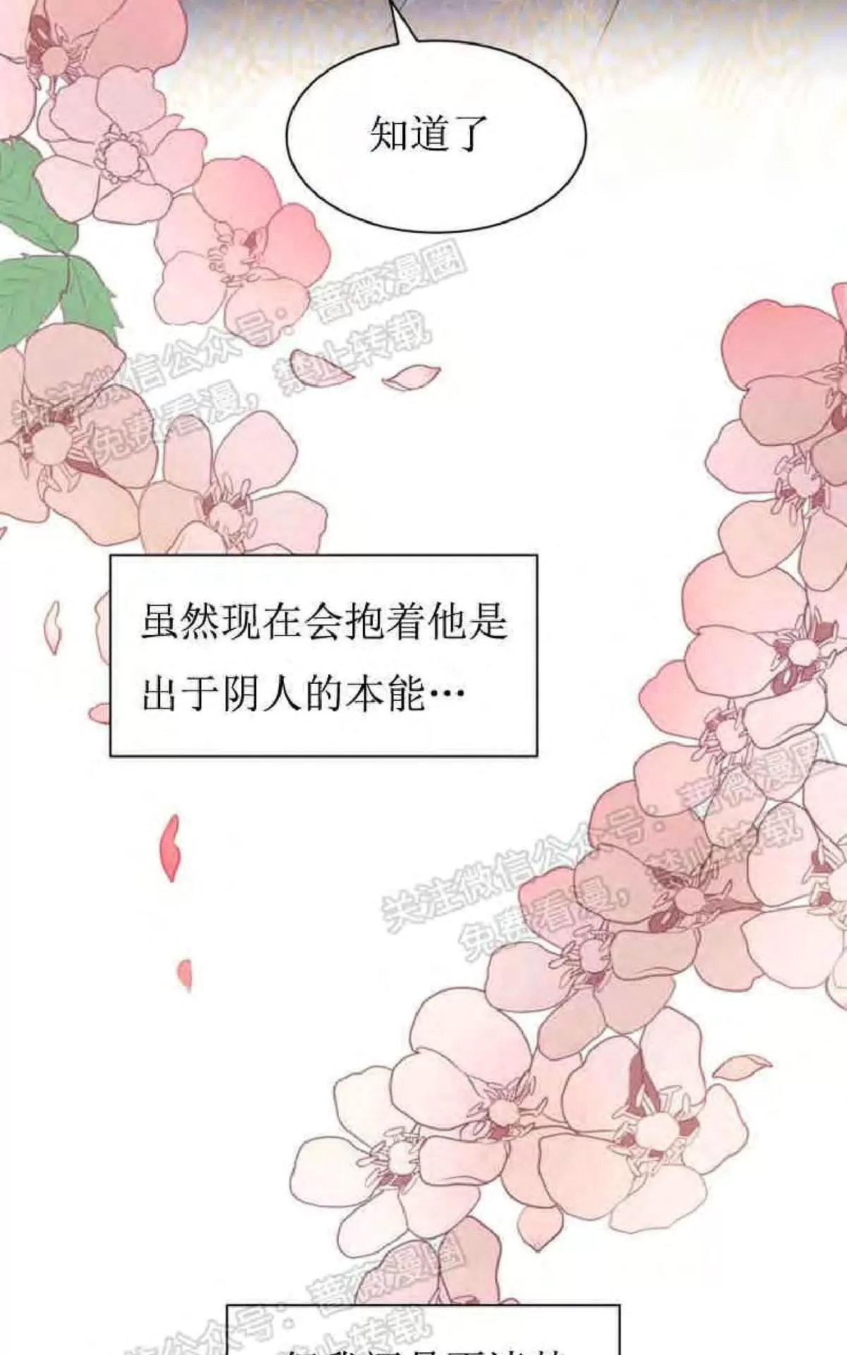 《贡物/皇妃驾临》漫画最新章节 第15话 免费下拉式在线观看章节第【55】张图片