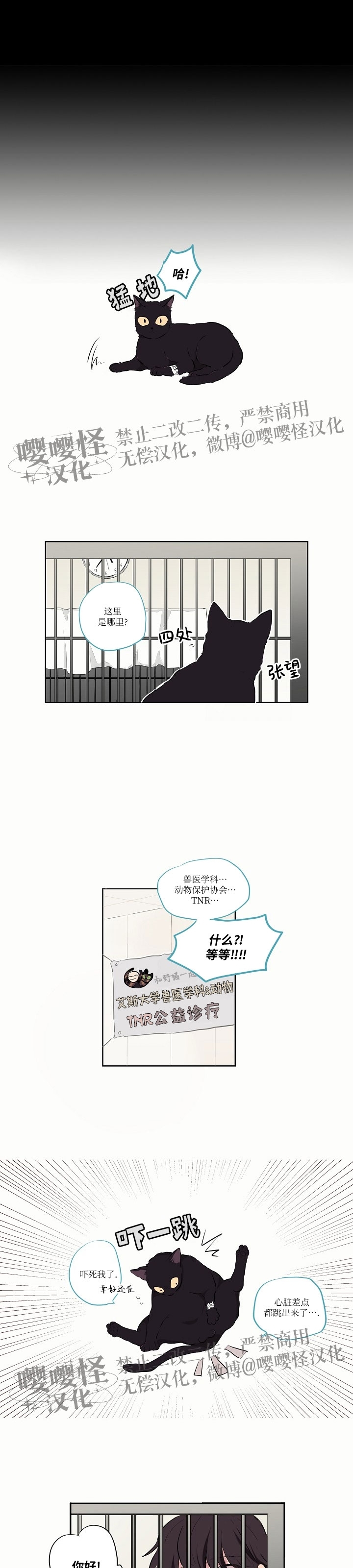 《夏日诅咒》漫画最新章节第03话免费下拉式在线观看章节第【2】张图片