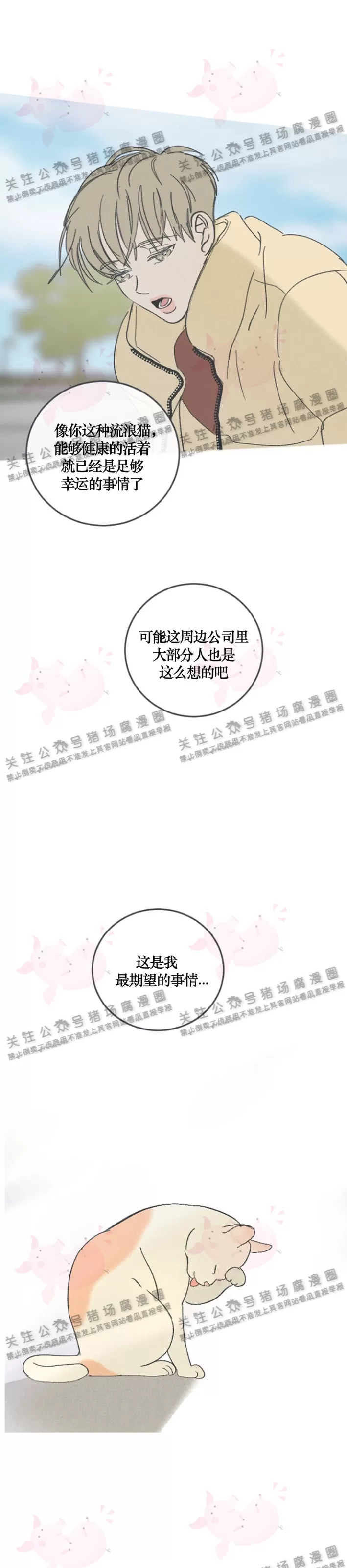 《摇滚宝贝/Swing baby》漫画最新章节第61话免费下拉式在线观看章节第【34】张图片