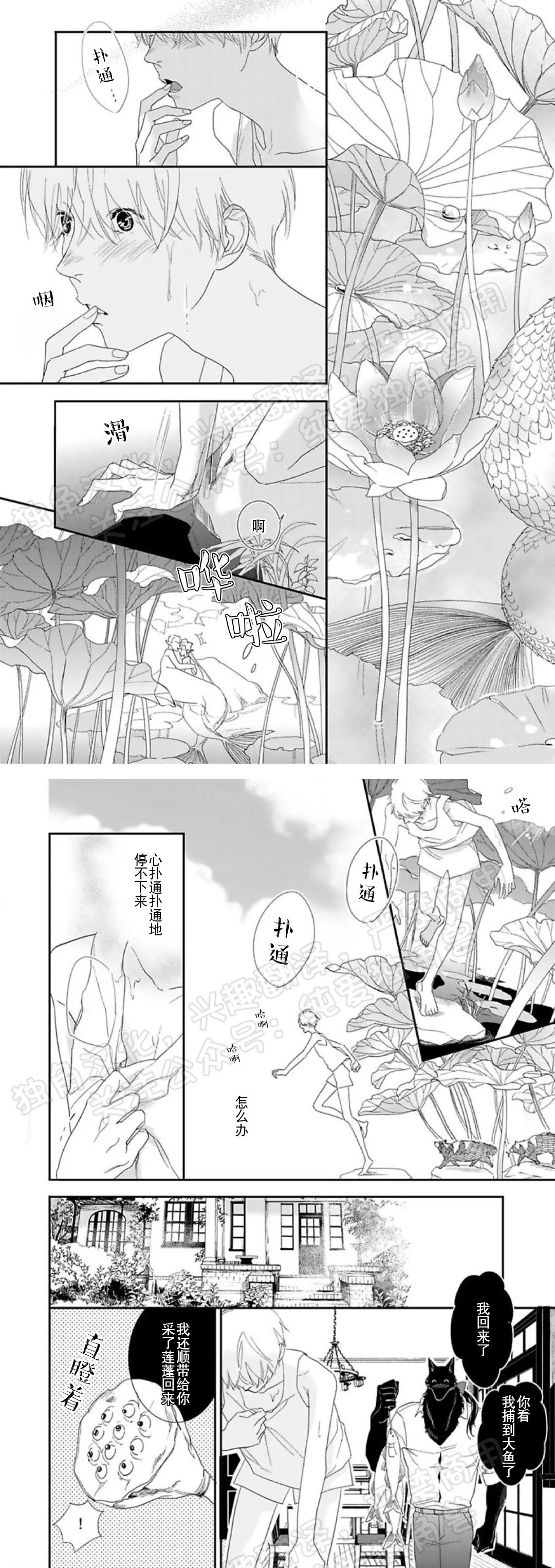 《野狼先生不吃吗？/不吃我吗？狼先生》漫画最新章节第02话免费下拉式在线观看章节第【8】张图片