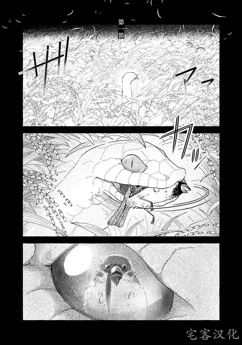 【雀蛇求爱论[耽美]】漫画-（第01话）章节漫画下拉式图片-7.jpg
