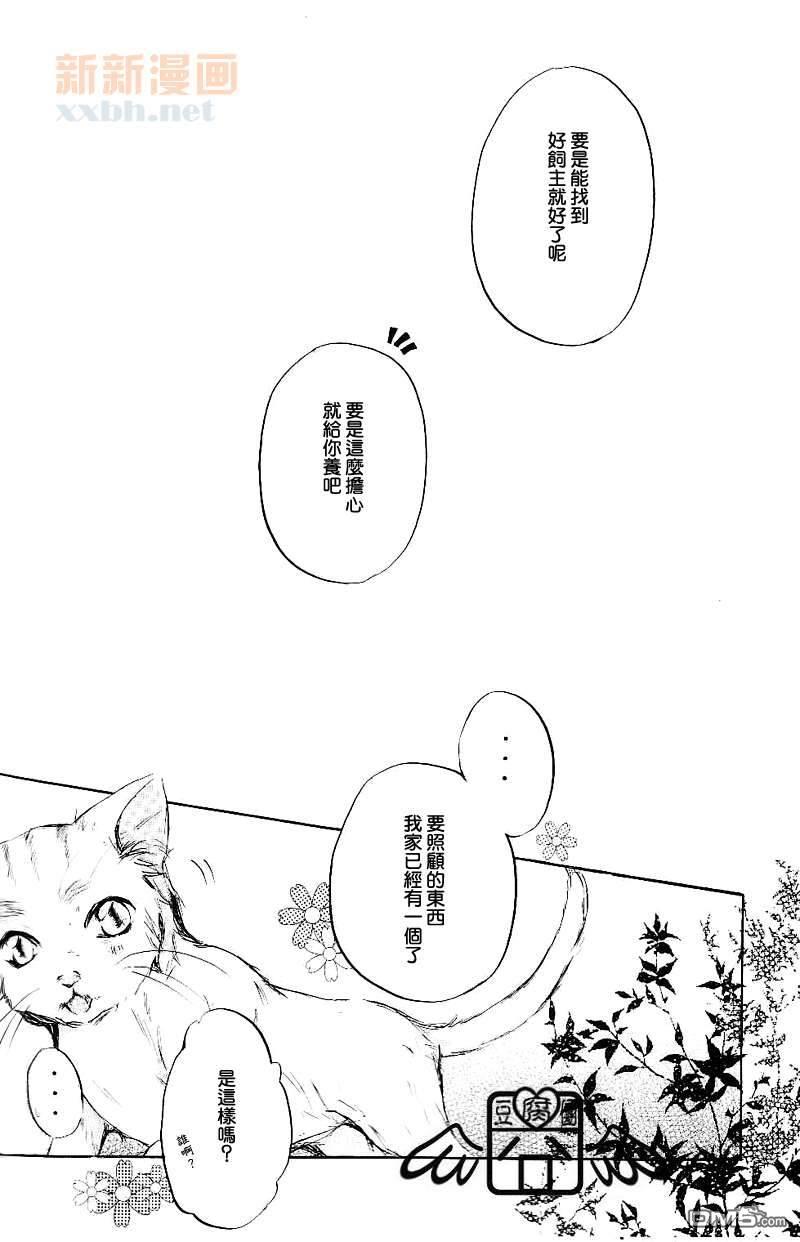 【Domestic cat[腐漫]】漫画-（ 第1话 ）章节漫画下拉式图片-21.jpg