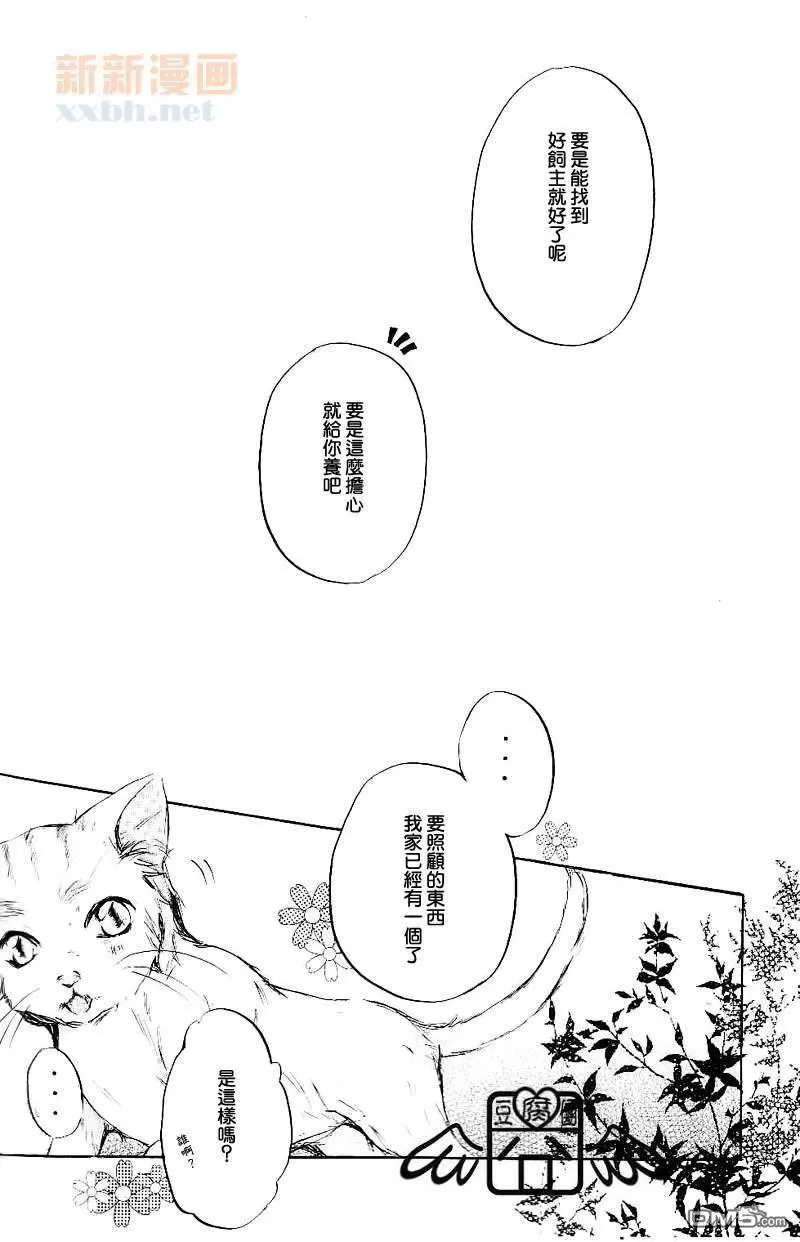 【Domestic cat[耽美]】漫画-（ 第1话 ）章节漫画下拉式图片-21.jpg