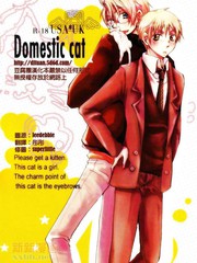 Domestic cat[腐漫]