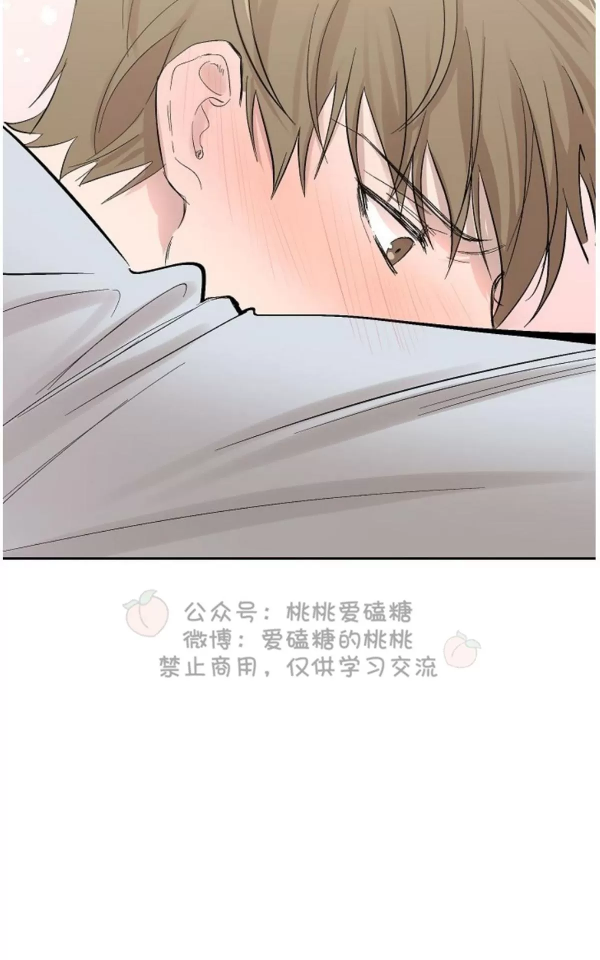 《XX搭档》漫画最新章节 第17话 免费下拉式在线观看章节第【41】张图片