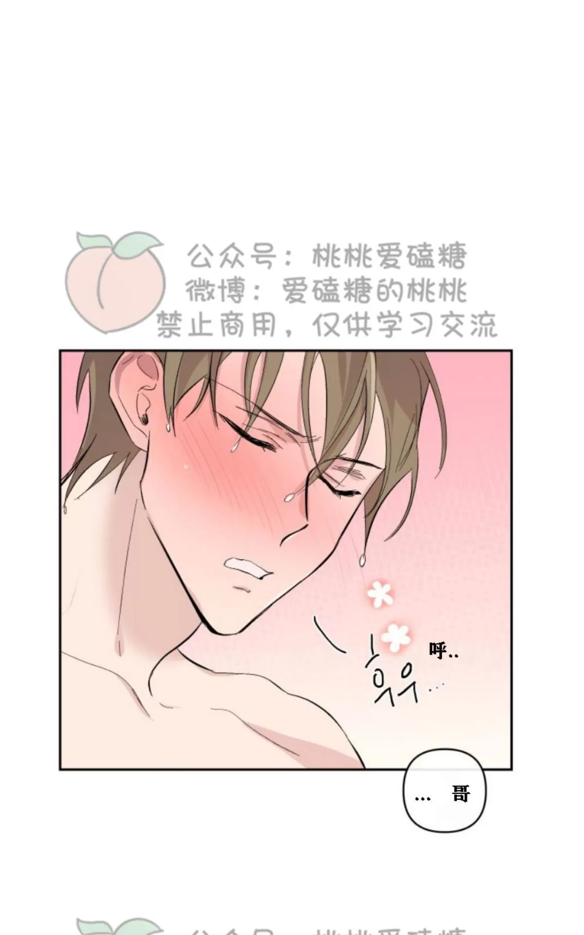 《XX搭档》漫画最新章节 第12话 免费下拉式在线观看章节第【52】张图片