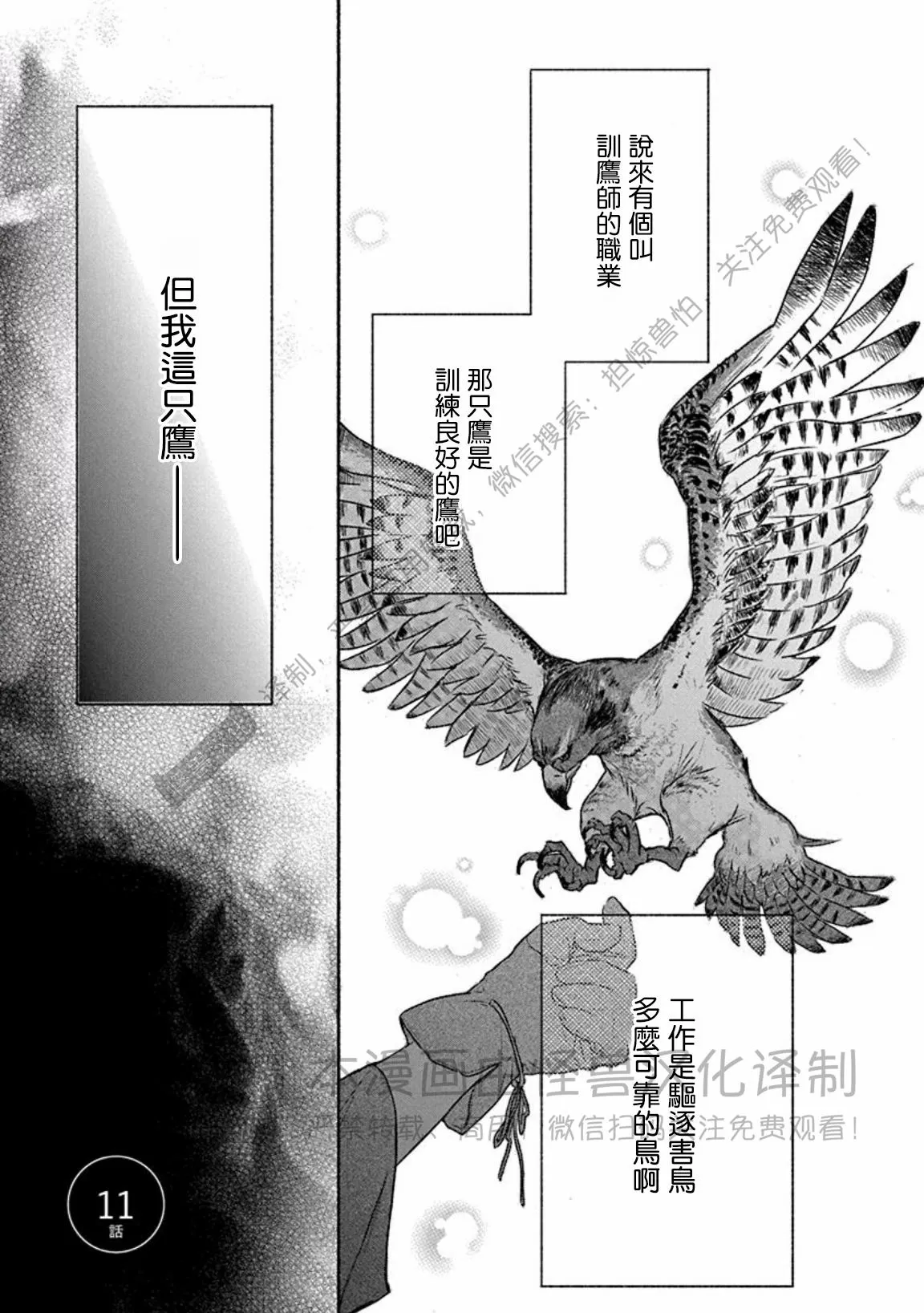 《兔与虎/兔医生和虎流氓》漫画最新章节第11话免费下拉式在线观看章节第【1】张图片