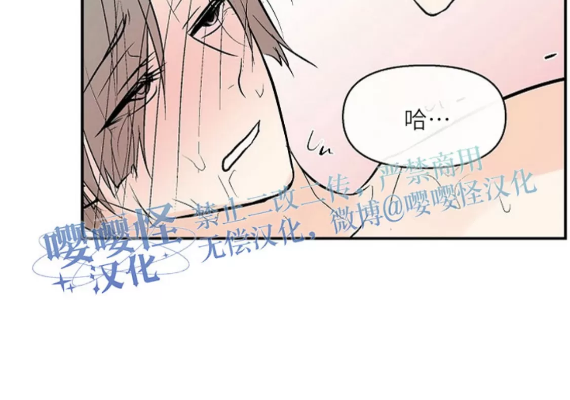 《避风港》漫画最新章节第08话免费下拉式在线观看章节第【25】张图片