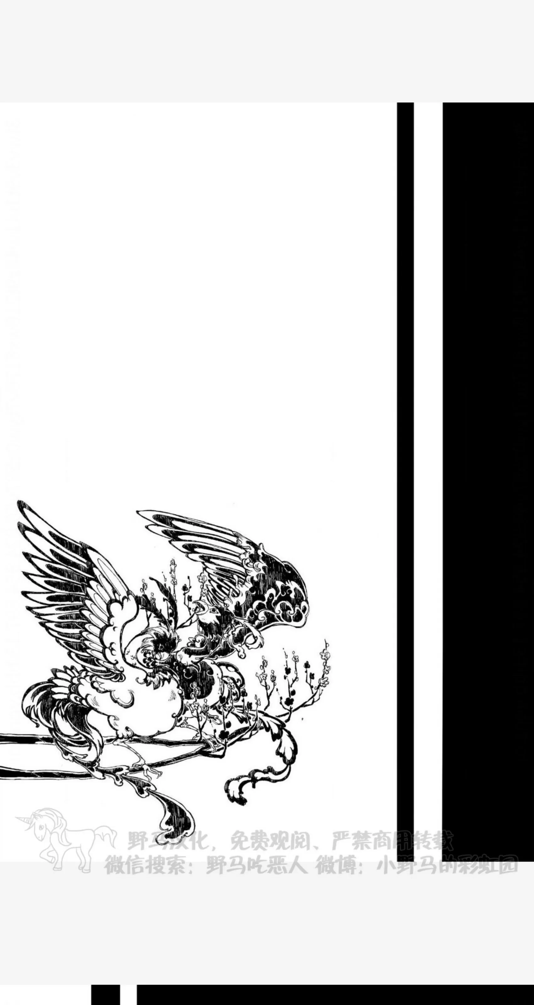 《鸩 比翼之鸟》漫画最新章节第02话免费下拉式在线观看章节第【27】张图片