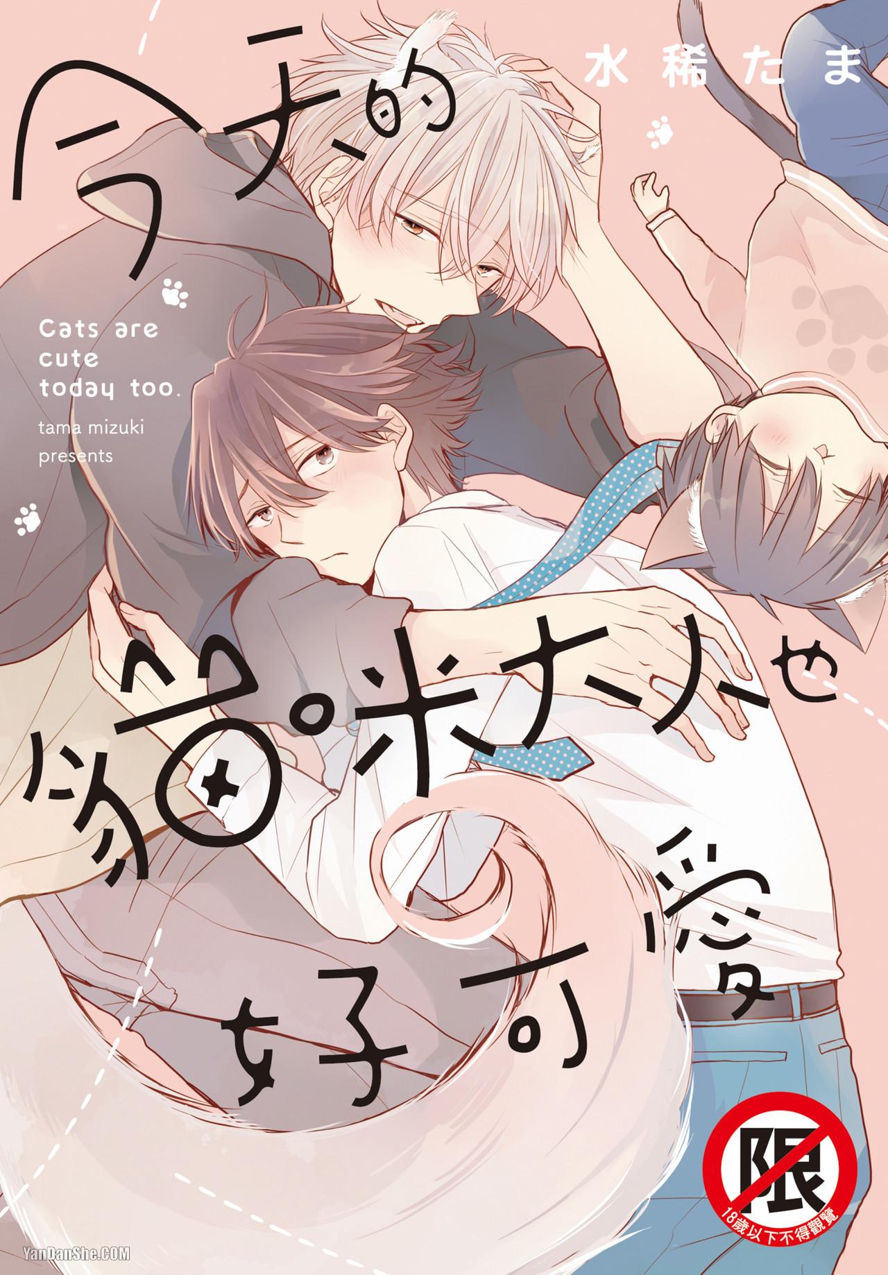 《今天的猫咪大人也好可爱》漫画最新章节第1话免费下拉式在线观看章节第【1】张图片