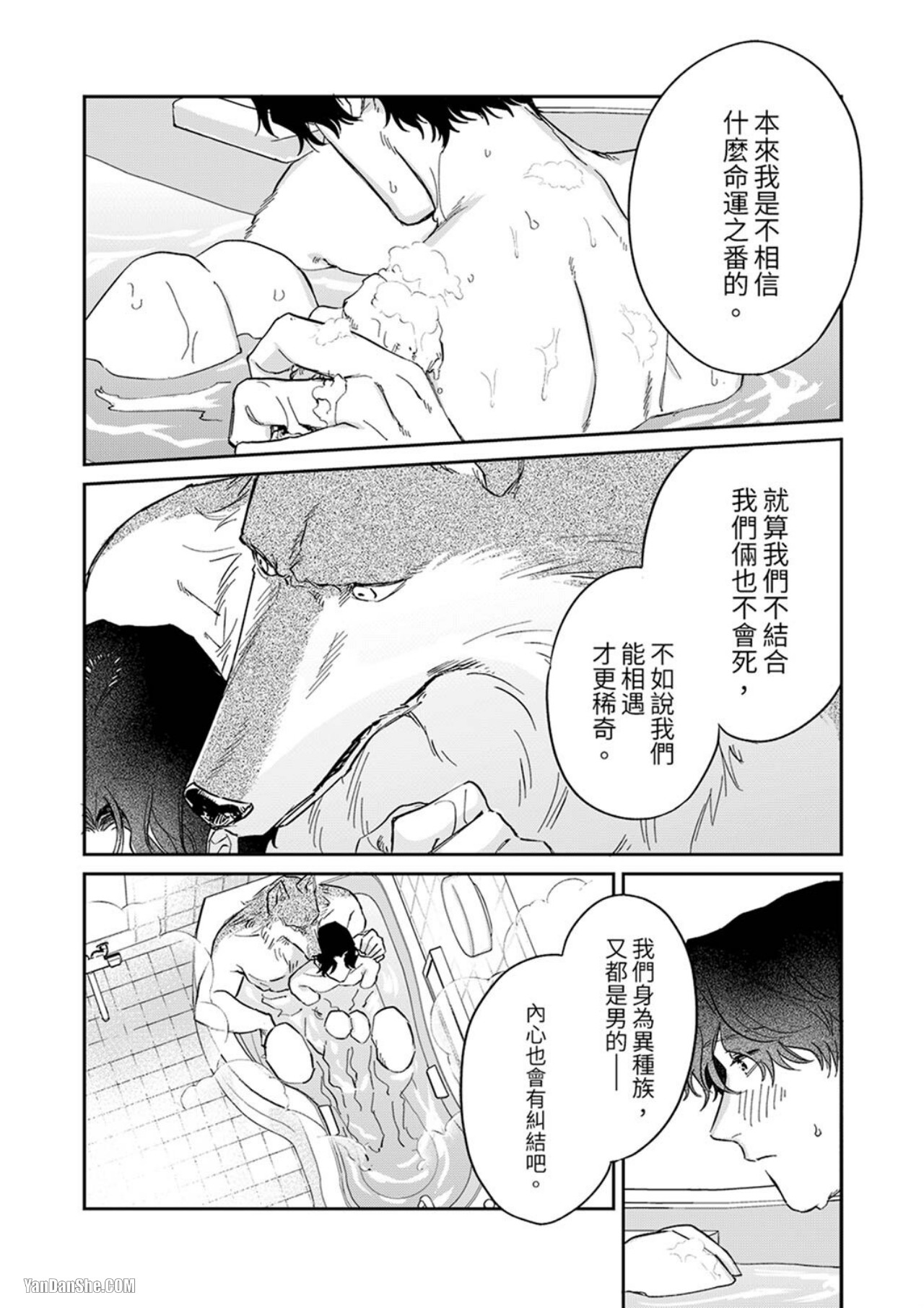 《狼大人专情的霸道之爱》漫画最新章节第3话免费下拉式在线观看章节第【16】张图片