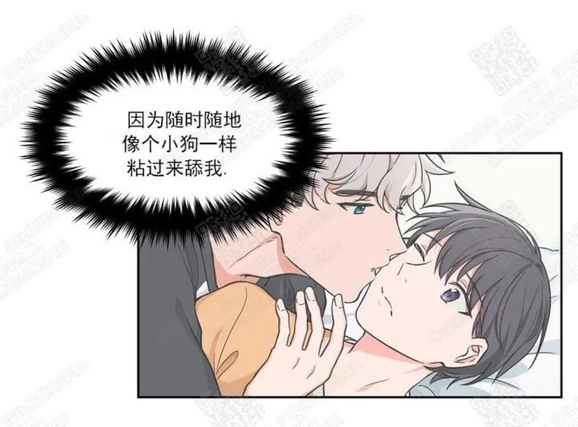 《坐下 等等 Kiss》漫画最新章节 第42话 免费下拉式在线观看章节第【10】张图片