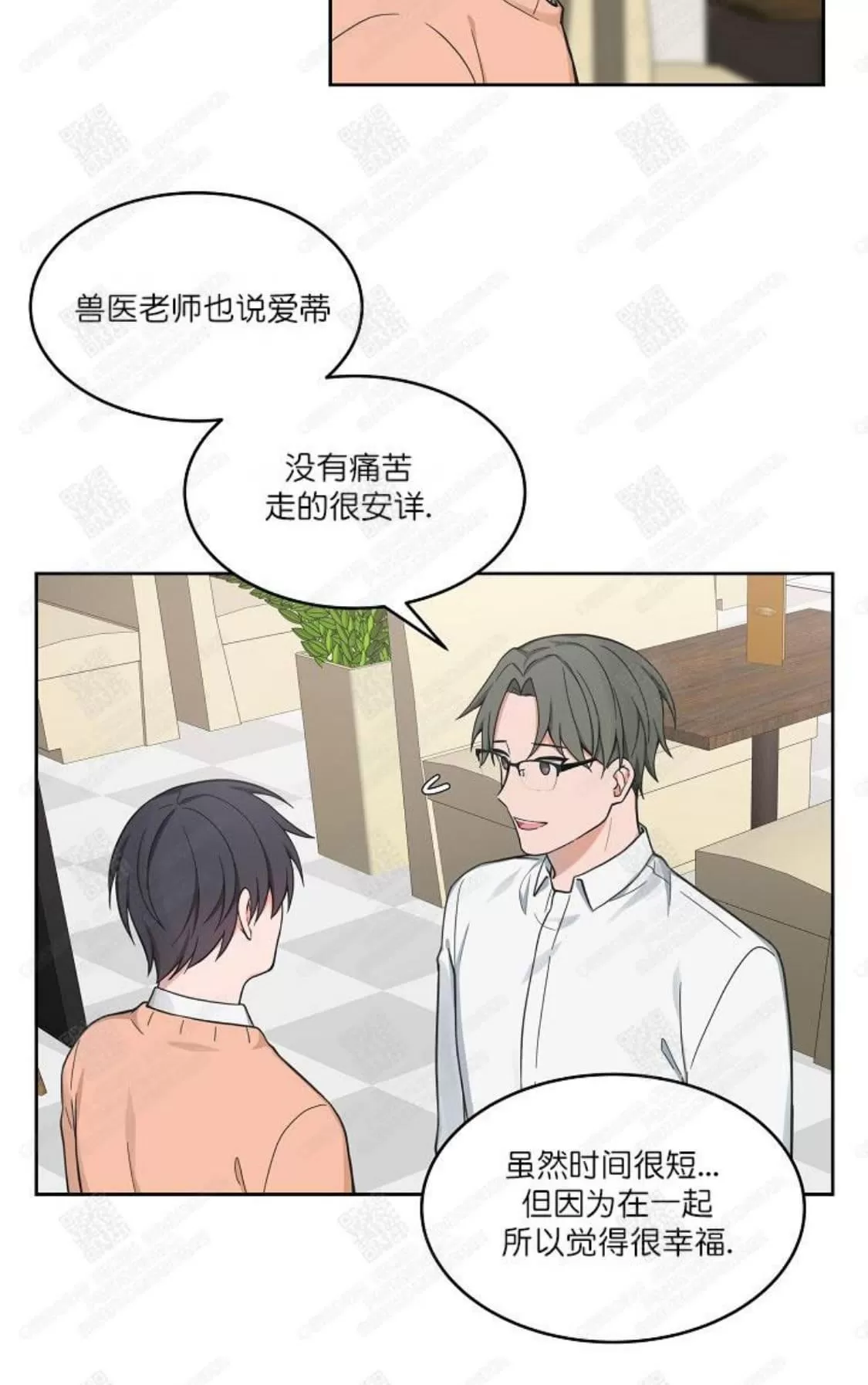 《坐下 等等 Kiss》漫画最新章节 第41话 免费下拉式在线观看章节第【22】张图片