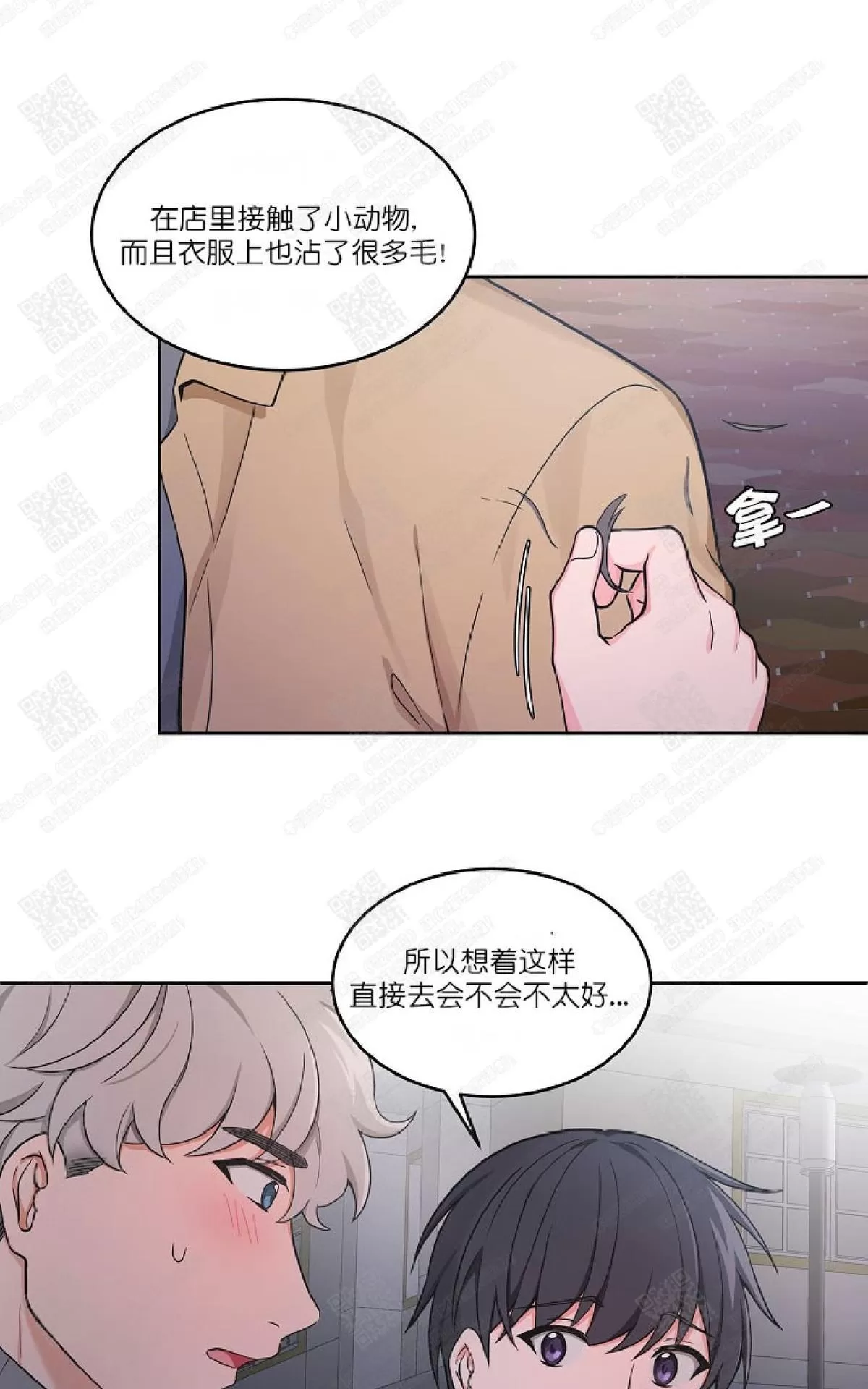 《坐下 等等 Kiss》漫画最新章节 第34话 免费下拉式在线观看章节第【33】张图片