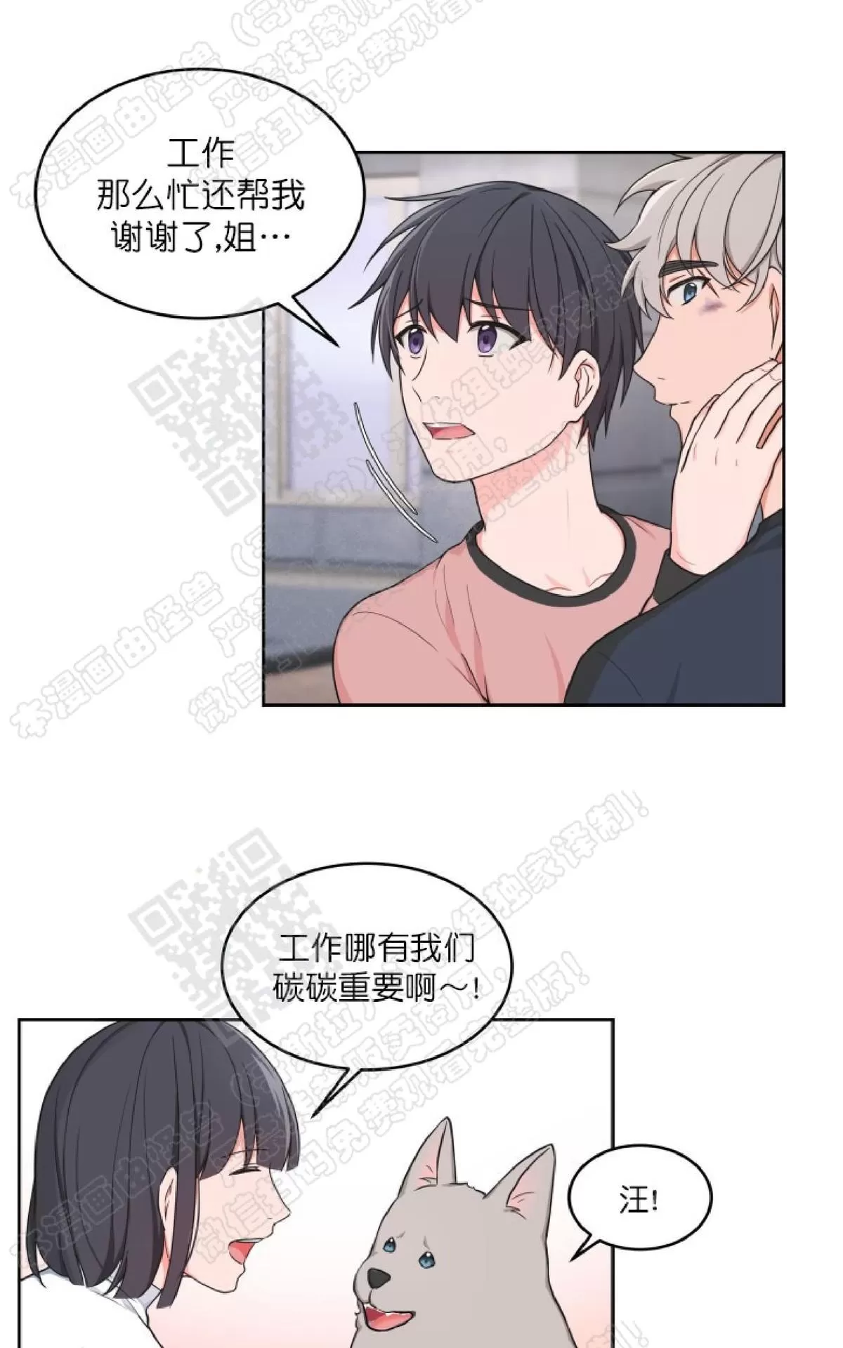 《坐下 等等 Kiss》漫画最新章节 第25话 免费下拉式在线观看章节第【41】张图片