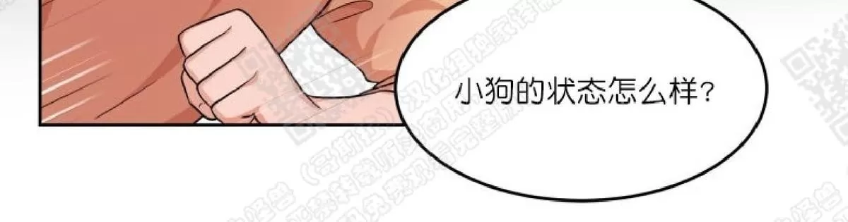 《坐下 等等 Kiss》漫画最新章节 第6话 免费下拉式在线观看章节第【43】张图片