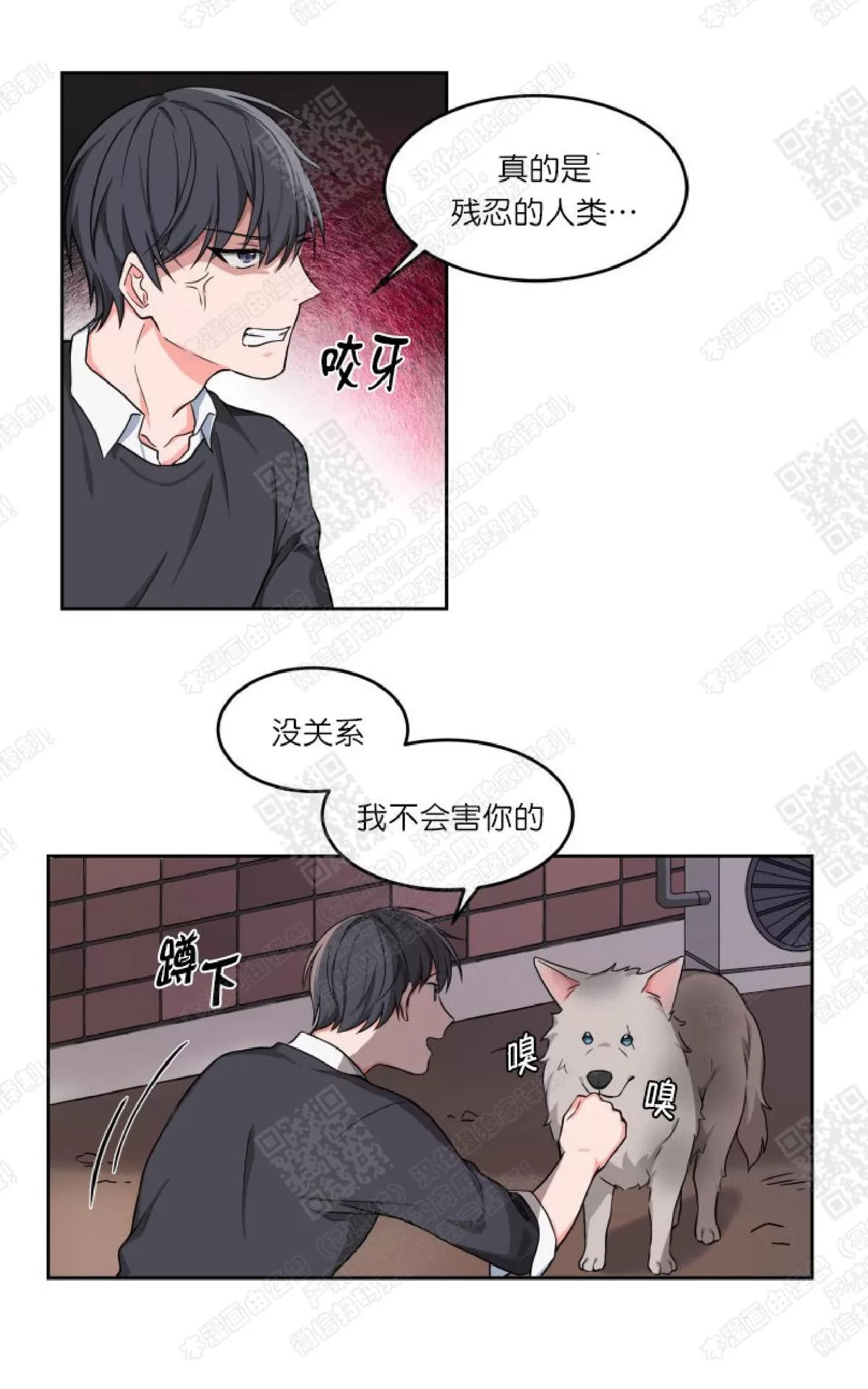 《坐下 等等 Kiss》漫画最新章节 第1话 免费下拉式在线观看章节第【27】张图片