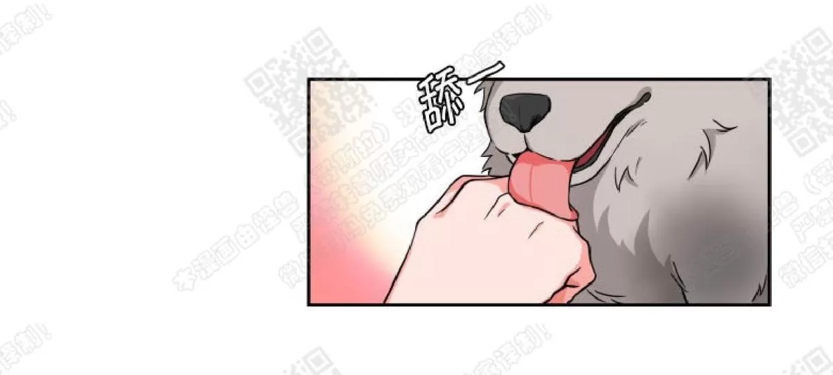 《坐下 等等 Kiss》漫画最新章节 第1话 免费下拉式在线观看章节第【28】张图片