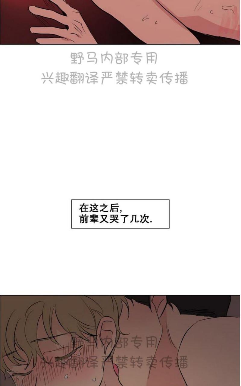 【三人行[腐漫]】漫画-（ 第80话完结 ）章节漫画下拉式图片-14.jpg