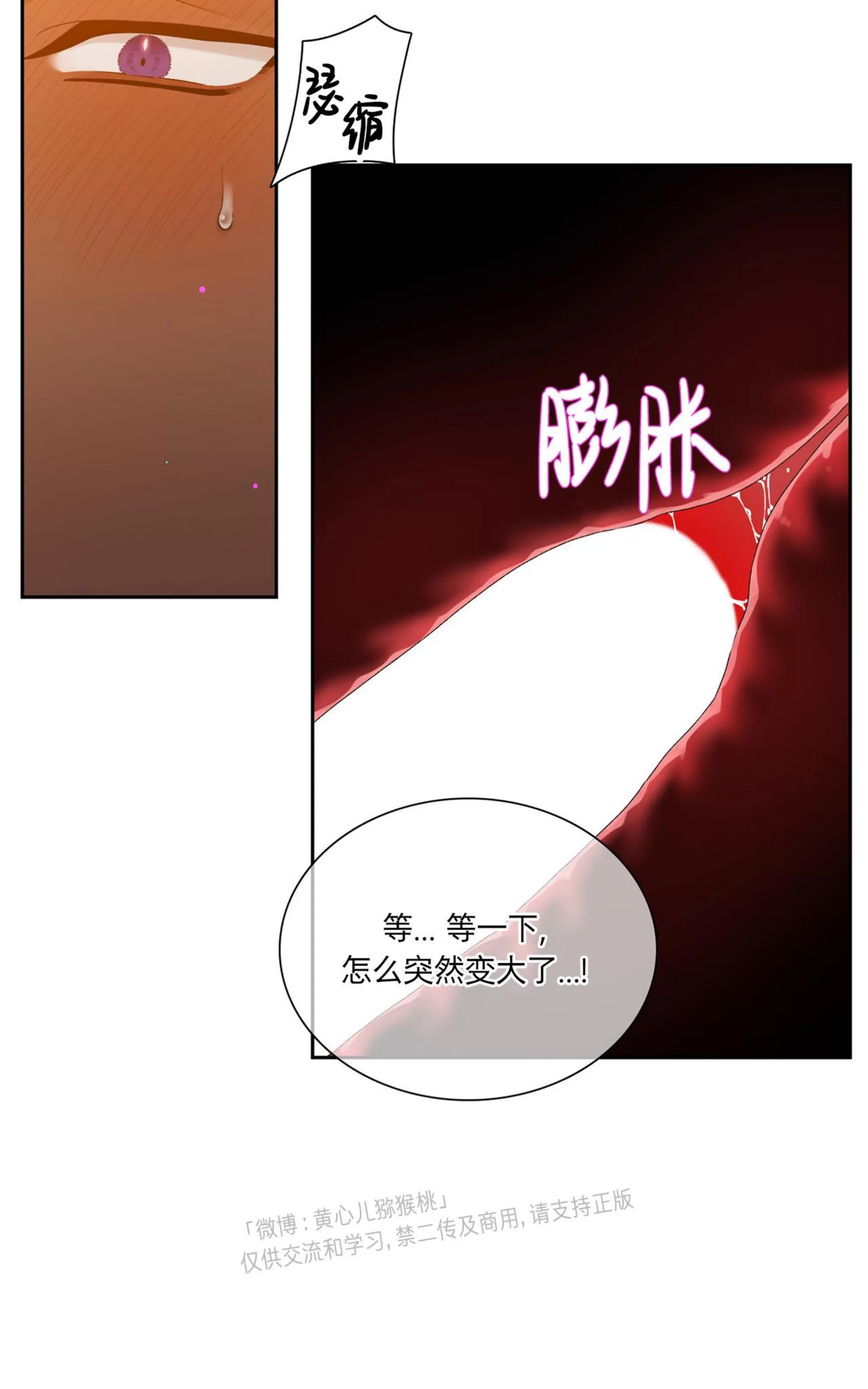 《士麦那&卡普里》漫画最新章节第24话免费下拉式在线观看章节第【37】张图片