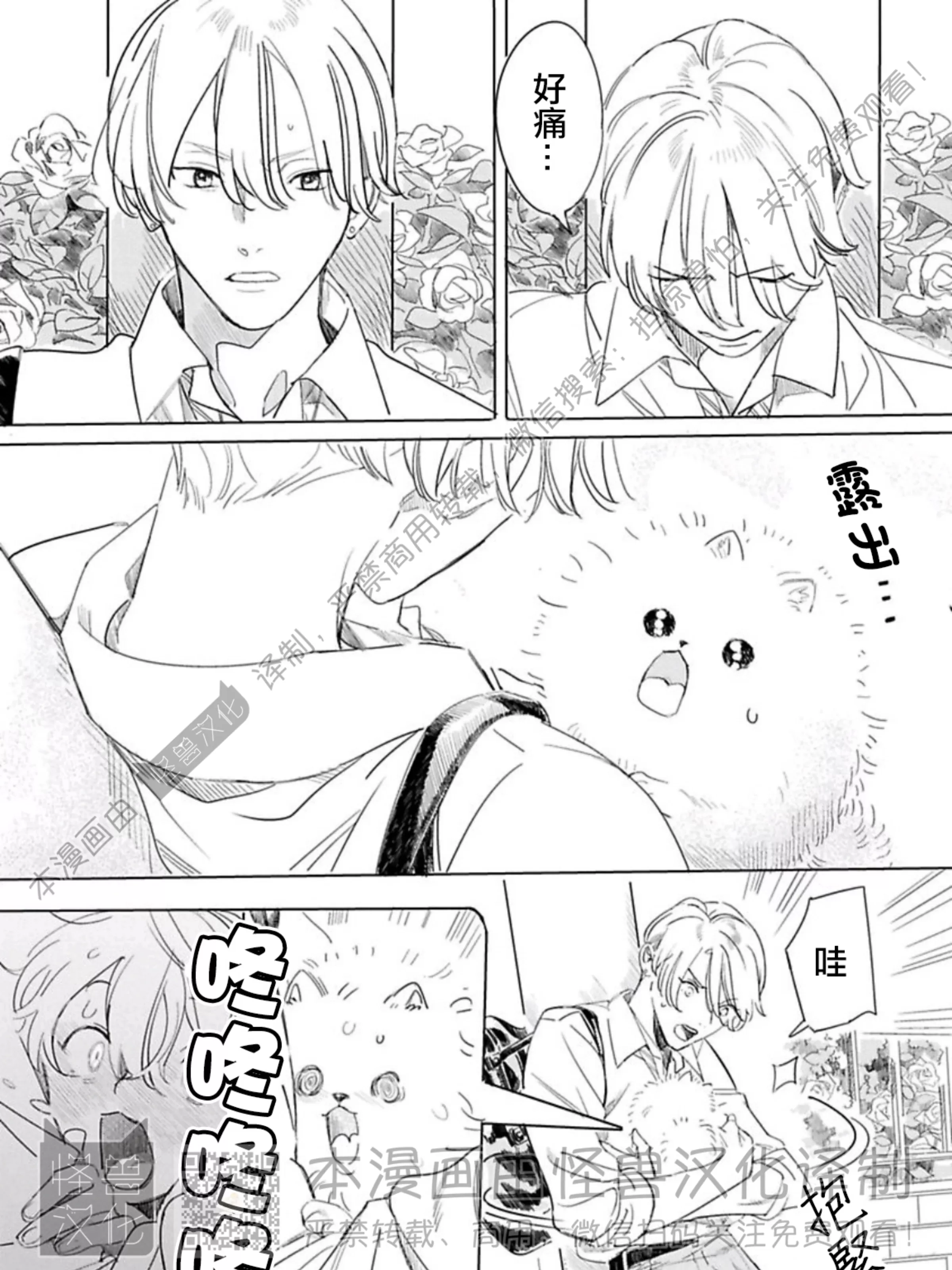 《小狗也能拥有爱情》漫画最新章节第1话免费下拉式在线观看章节第【41】张图片